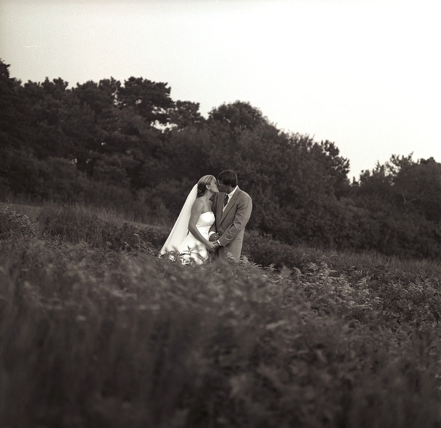 Shoot The Cake_Martha's Vineyard_linday and josh portraitmed.jpg