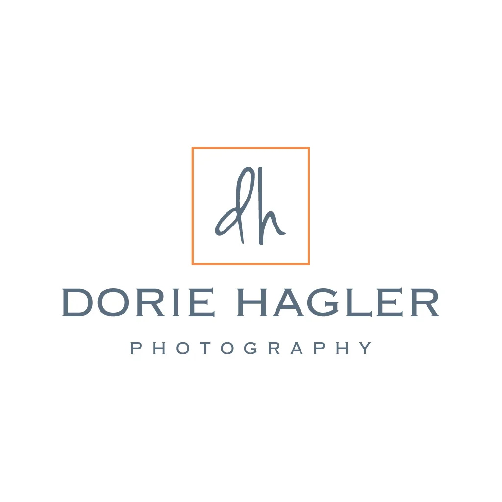 dh logo.jpg