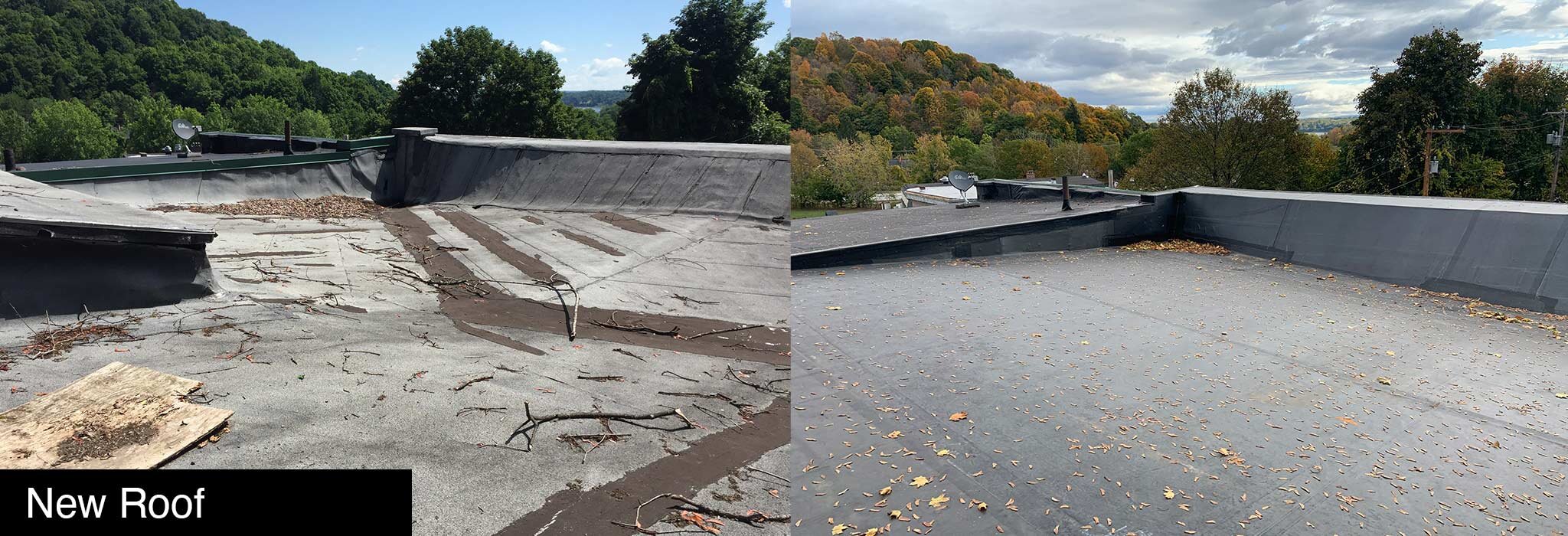 roof.jpg