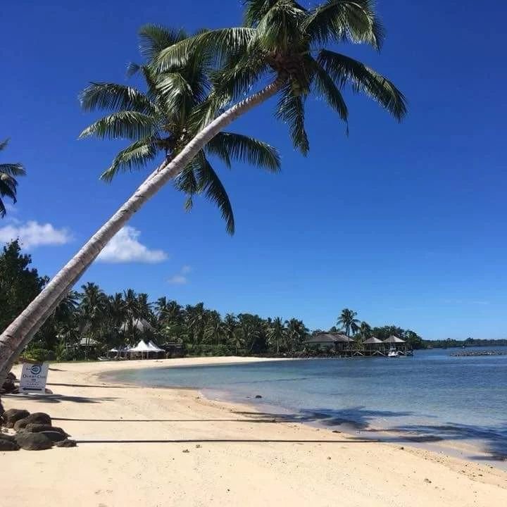 Beautiful Samoa 🌺 #destinationgoals📌 #oceanclubmaninoa #samoabeach #maninoabeach