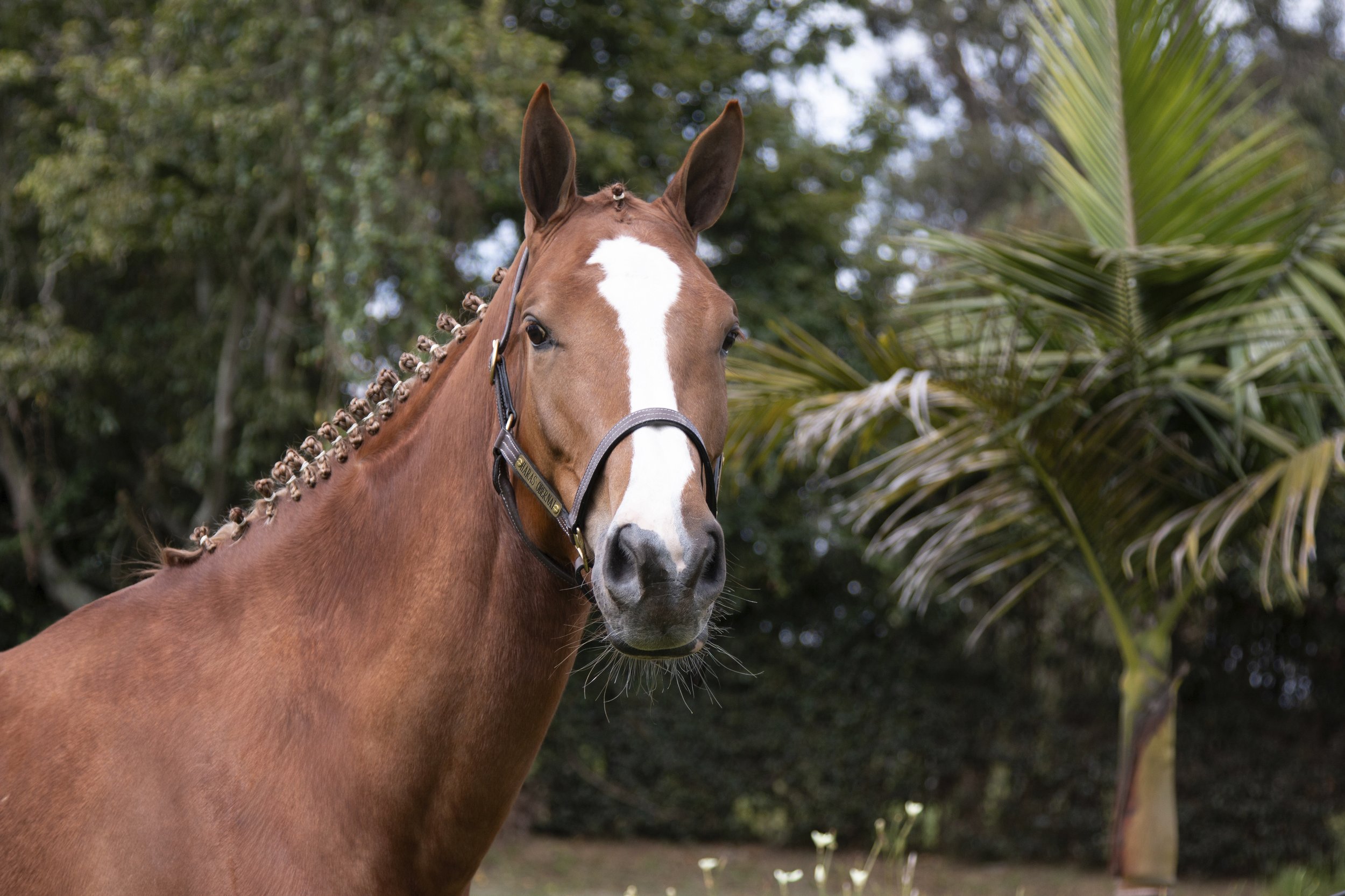 COSSIMA CARA IMG_4114.jpg