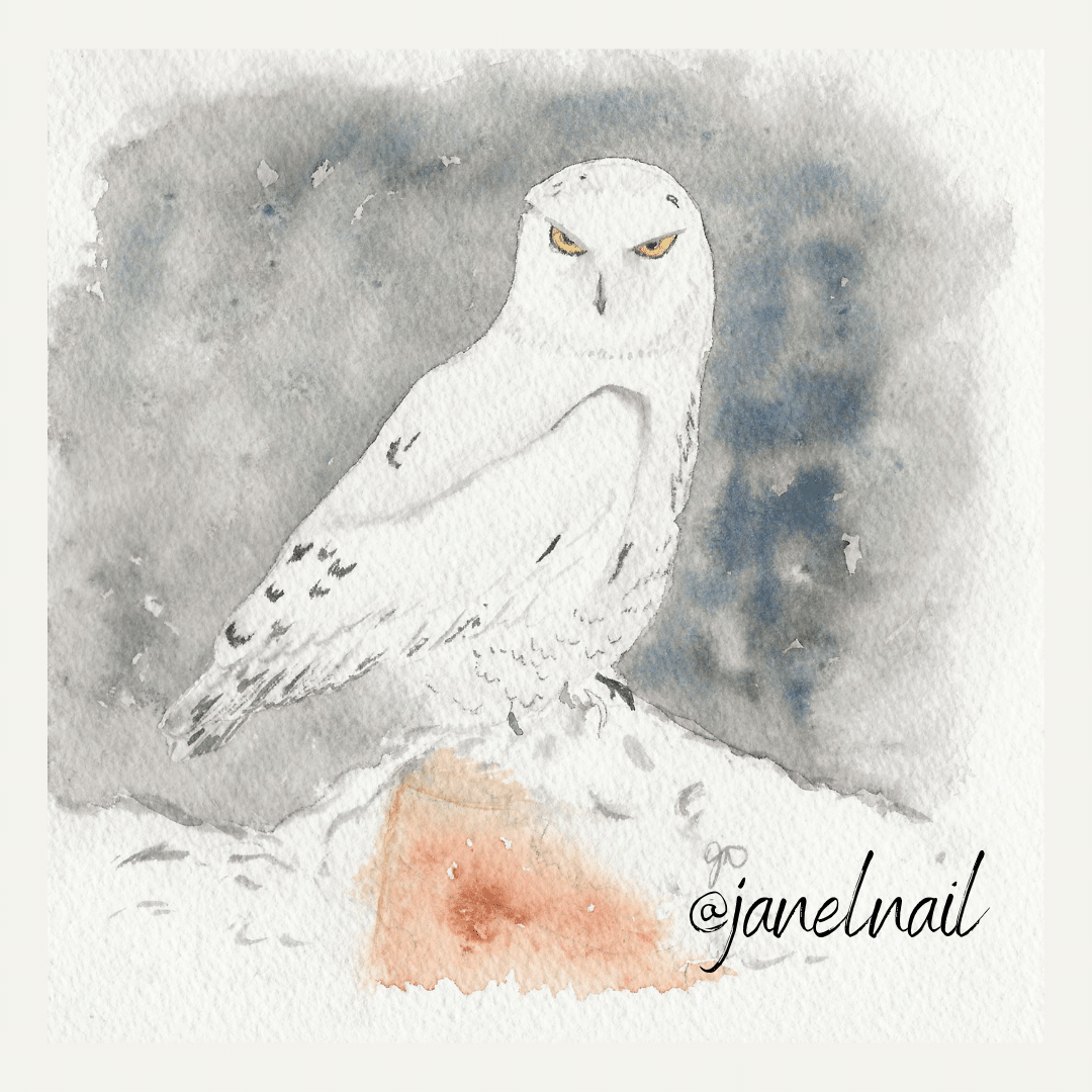 PRINT - Snowy Owl