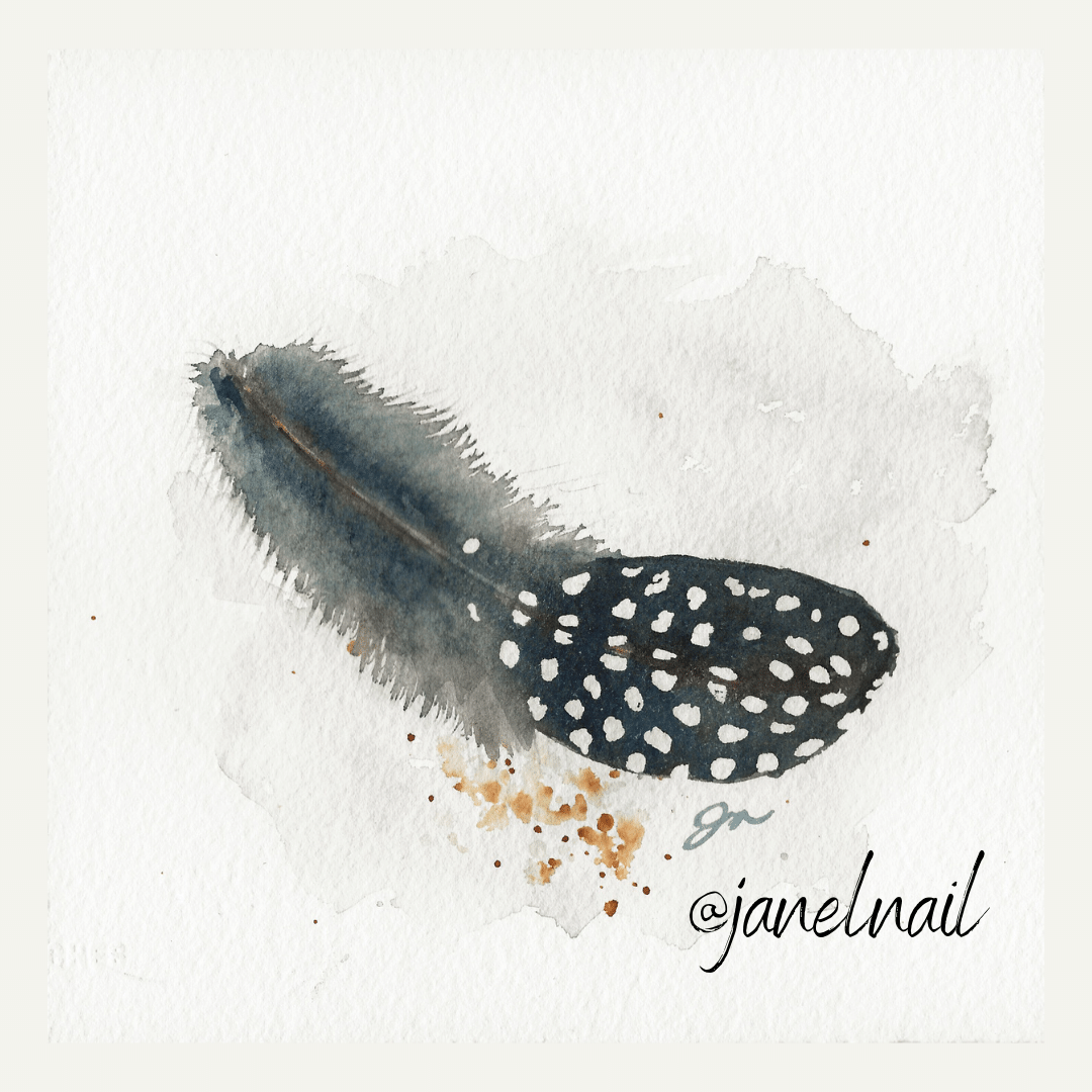 PRINT ~ Spotted Feather