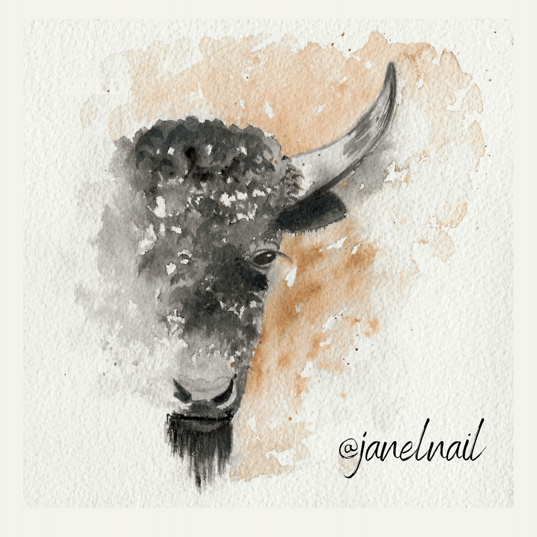 PRINT ~ Roaming Buffalo