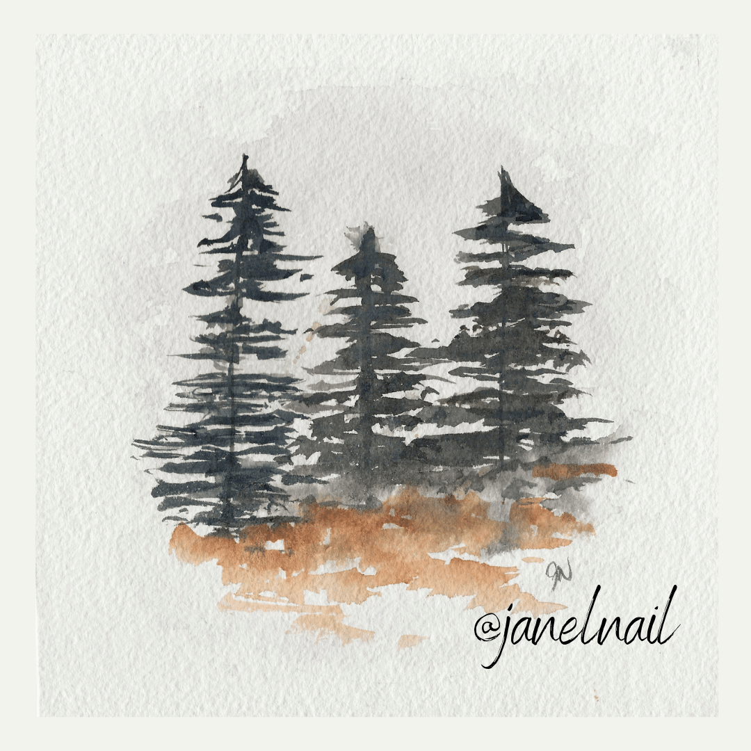 PRINT ~ Black Spruce