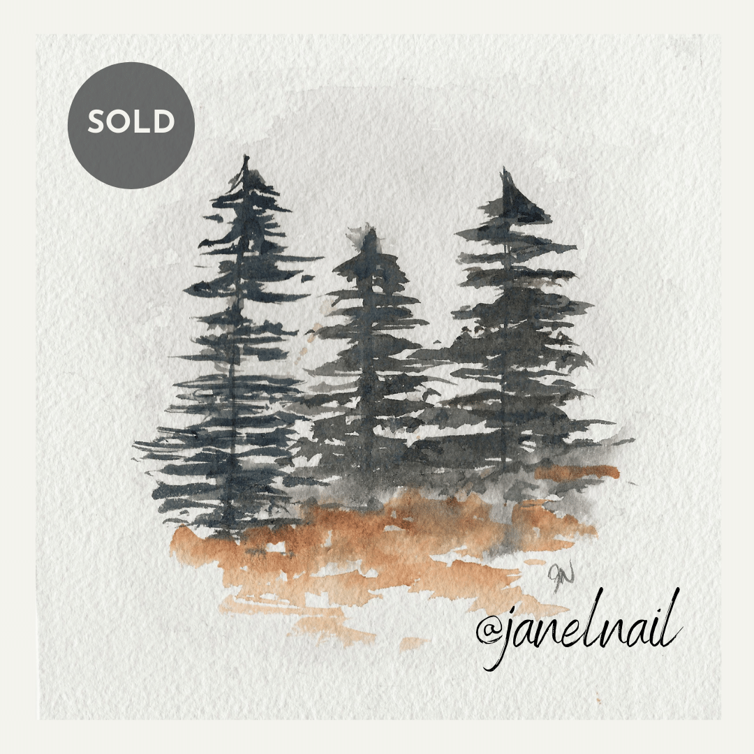 ORIGINAL - Black Spruce