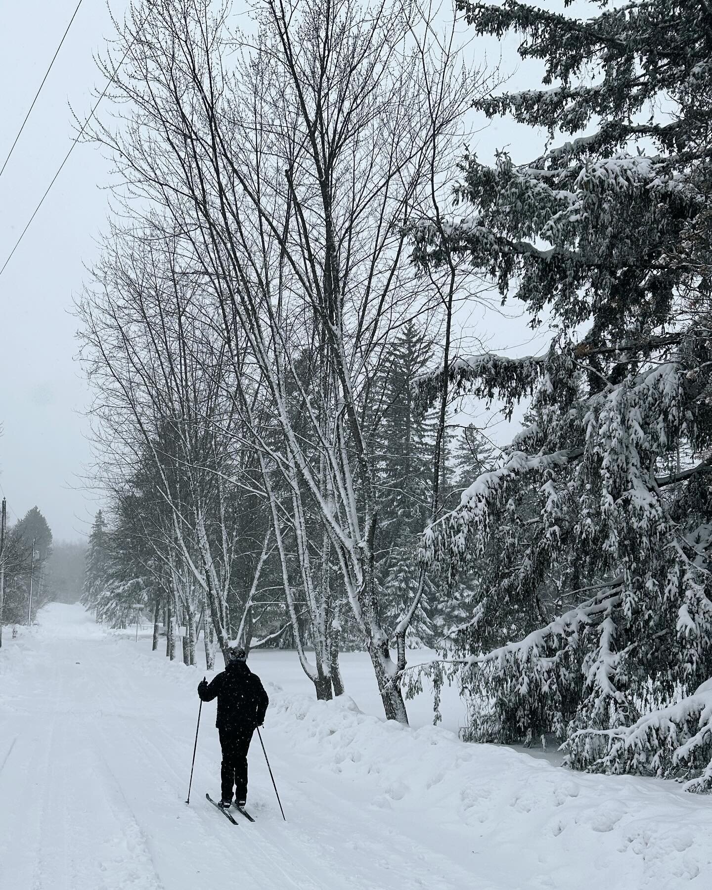 🎶 Winter&rsquo;s here and the time is right for skiing in the street 🎵 (sing it yourself)