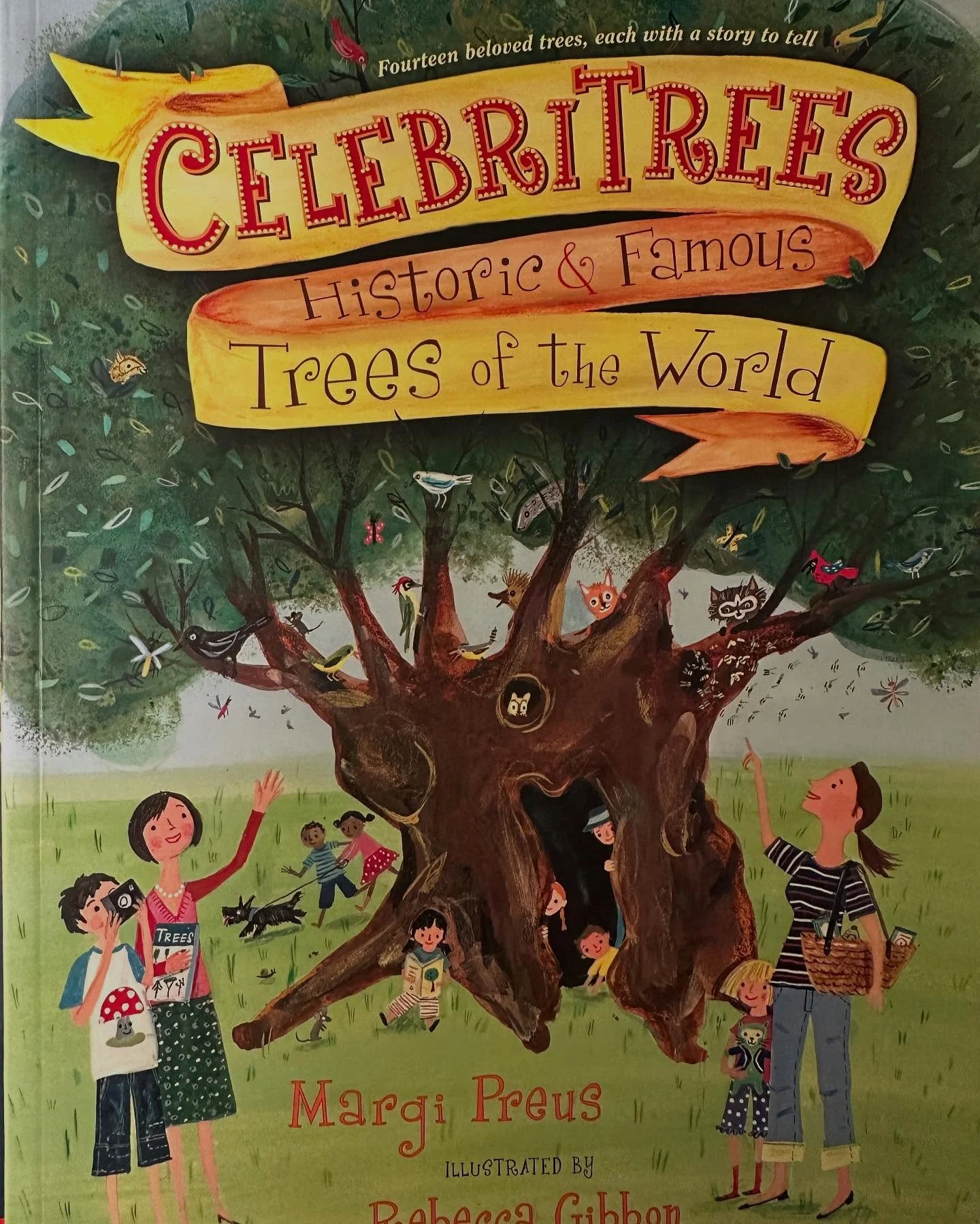 In Sicily, gifting a few books to a 5 year old (one of which is Celebritrees) his mother says, “oh! There’s a famous tree not far from here.” As she describes it, it begins to sound very familiar, until I realize it’s one of t