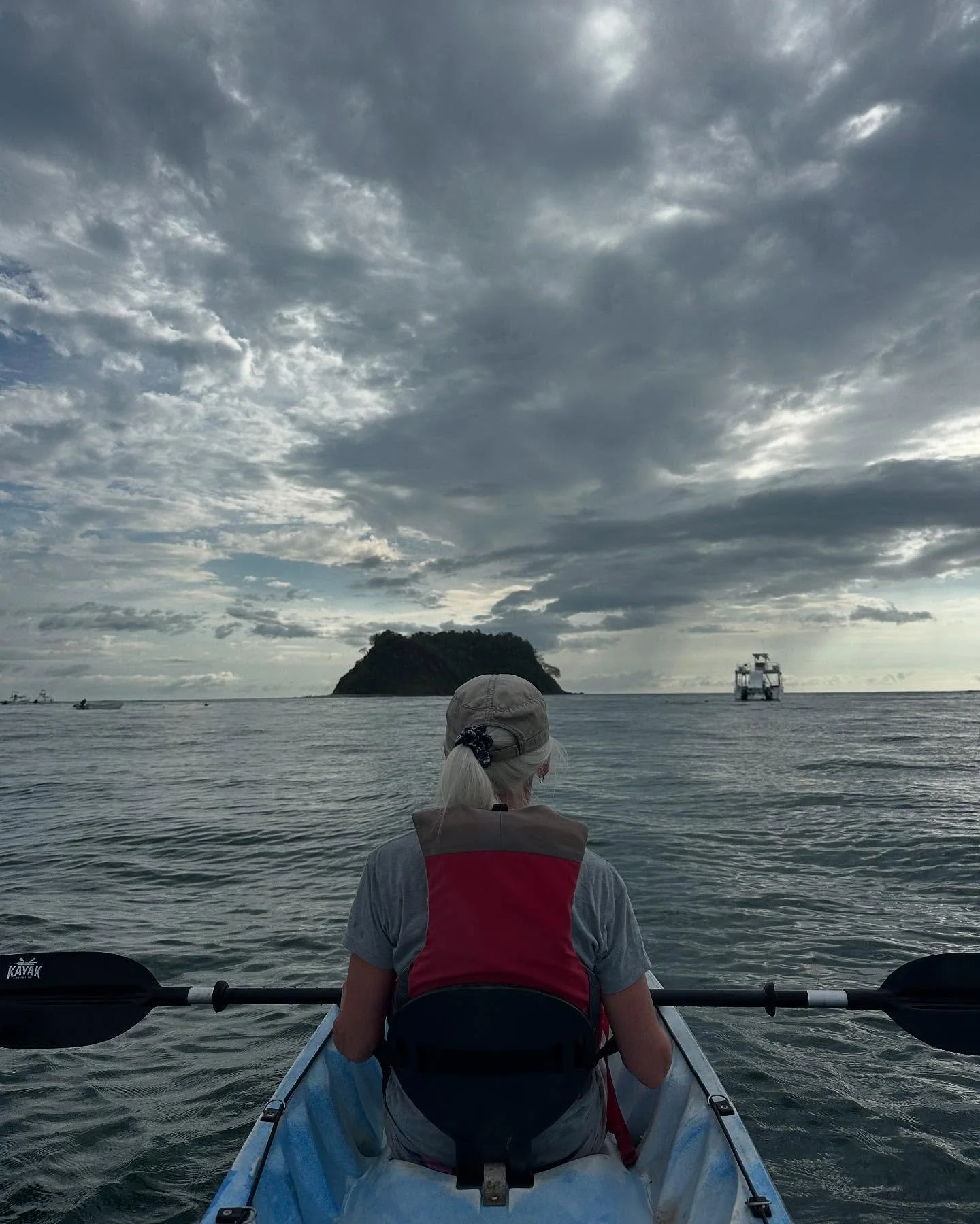 Celebrating a major birthday (and a half) in Costa Rica with the family, including @pashakahn @mishakahn @nickharamis (responsible for the best pics in this bunch) Ellen and Arno + bambino (mostly not pictured to keep Meta&rsquo;s paws off). To answe