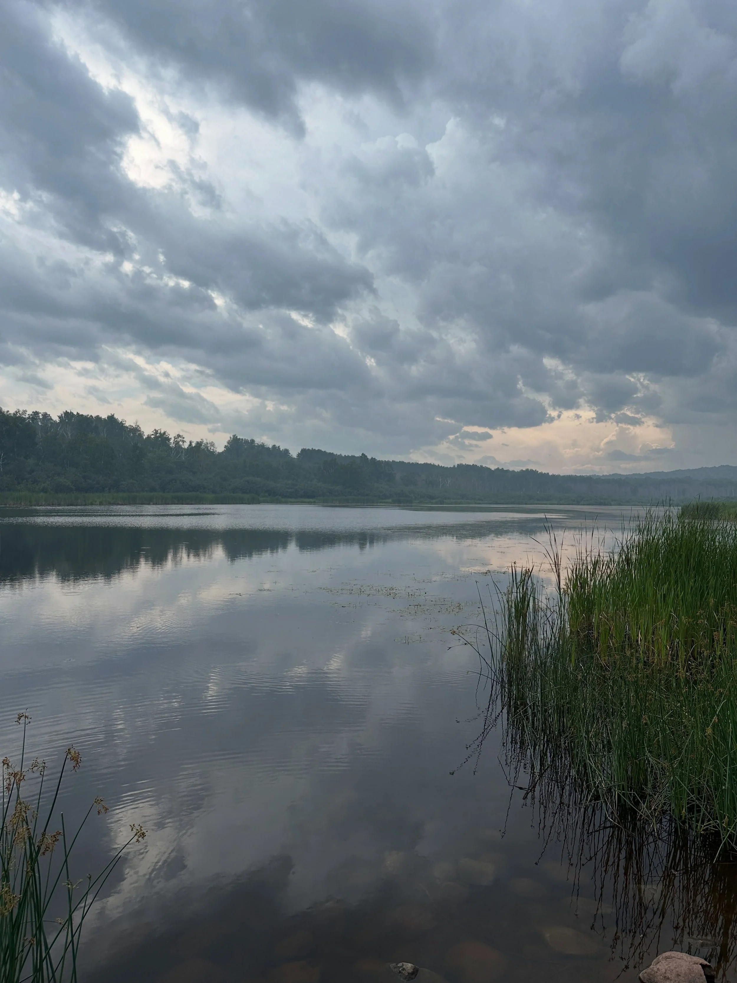 Before the storm,
amid the smoke, birds sing
Almost a haiku?