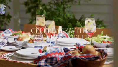 WS VIDEO.gif