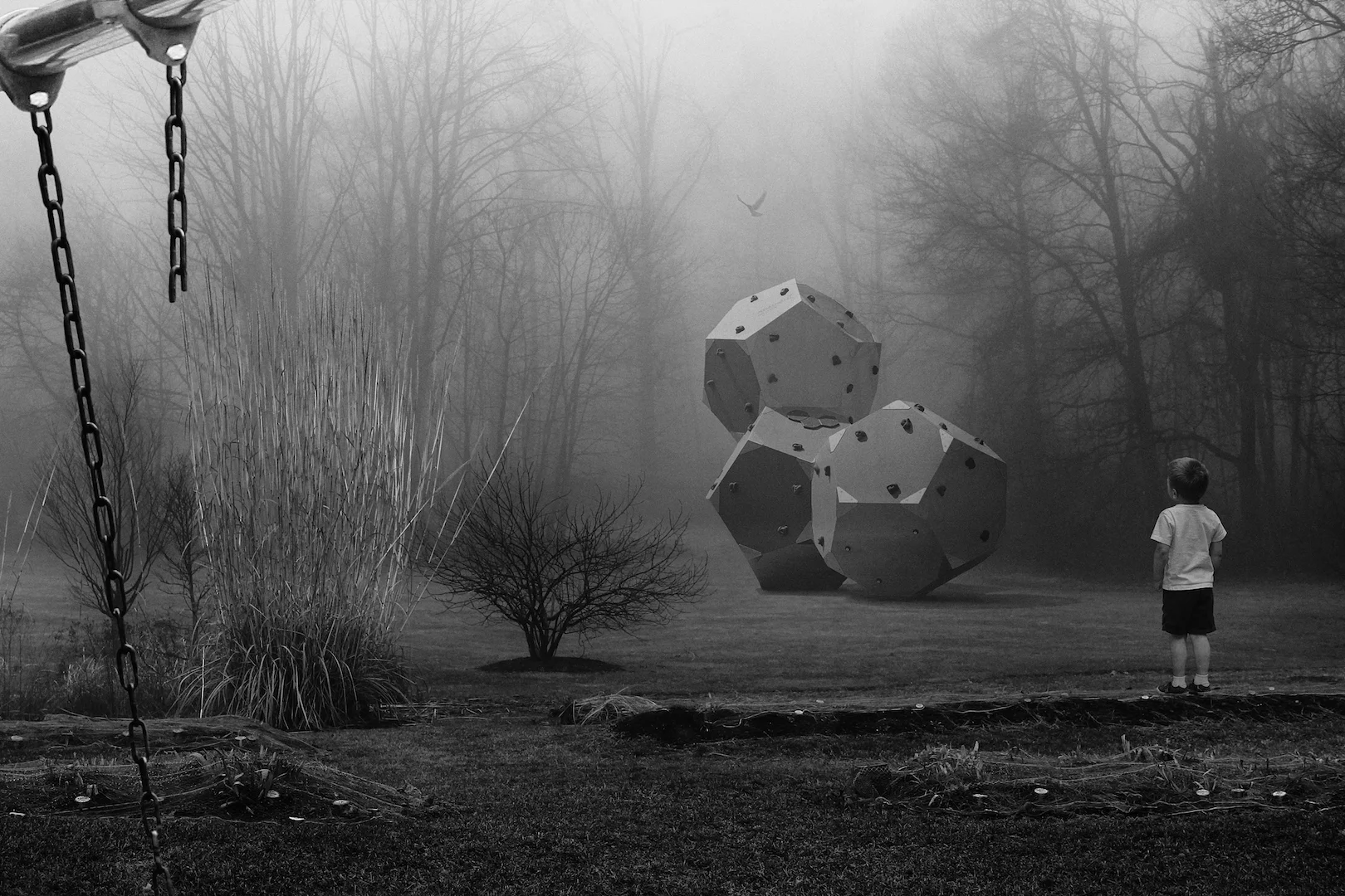 The Clearing