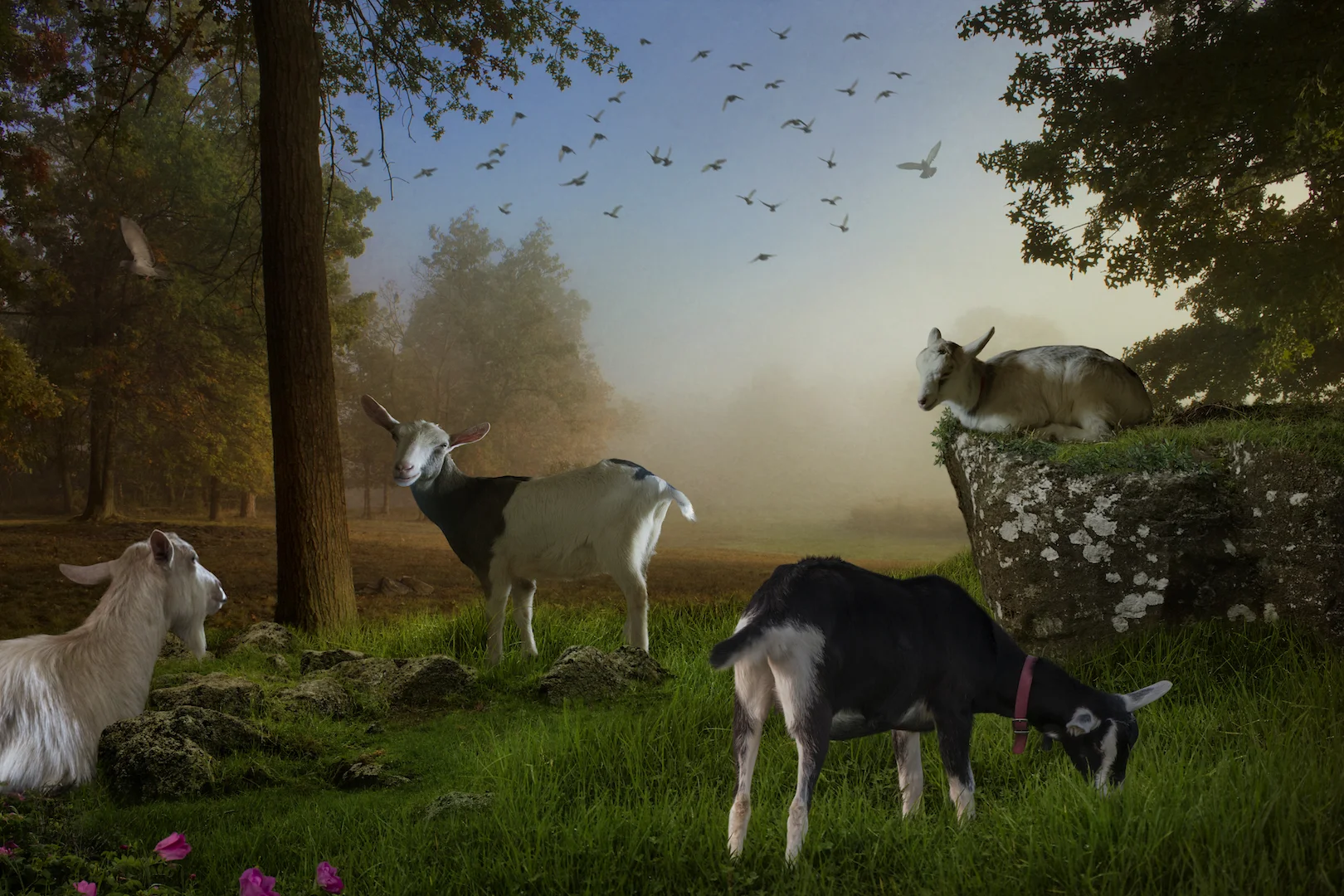 Clarity of Purpose &amp; The Ability to Listen: Part 2