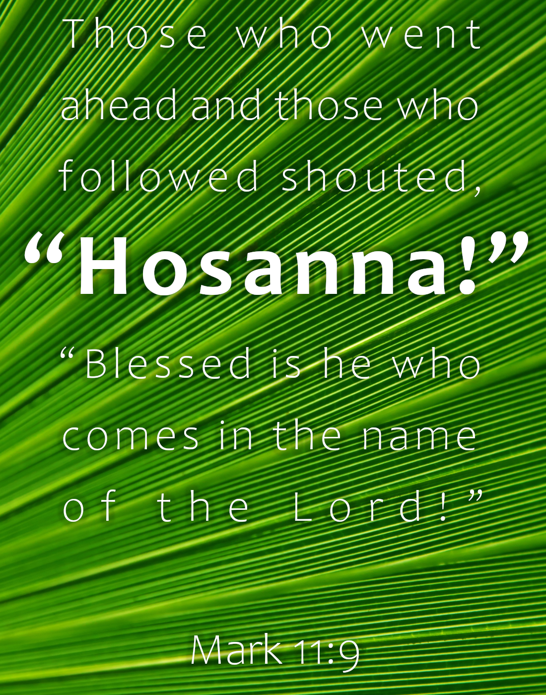 Mark 11:9 - Hosanna - Palm Sunday
