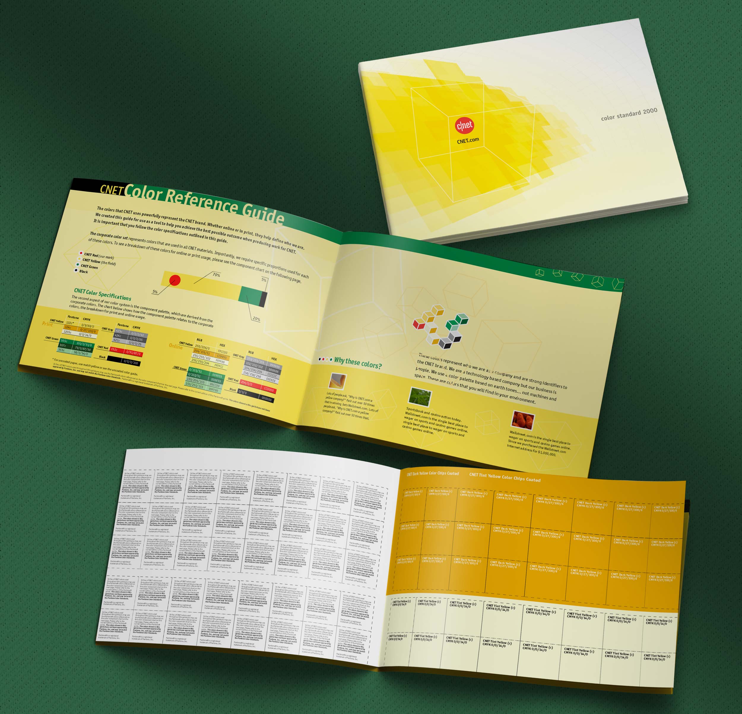 Corporate Branding Color Guide