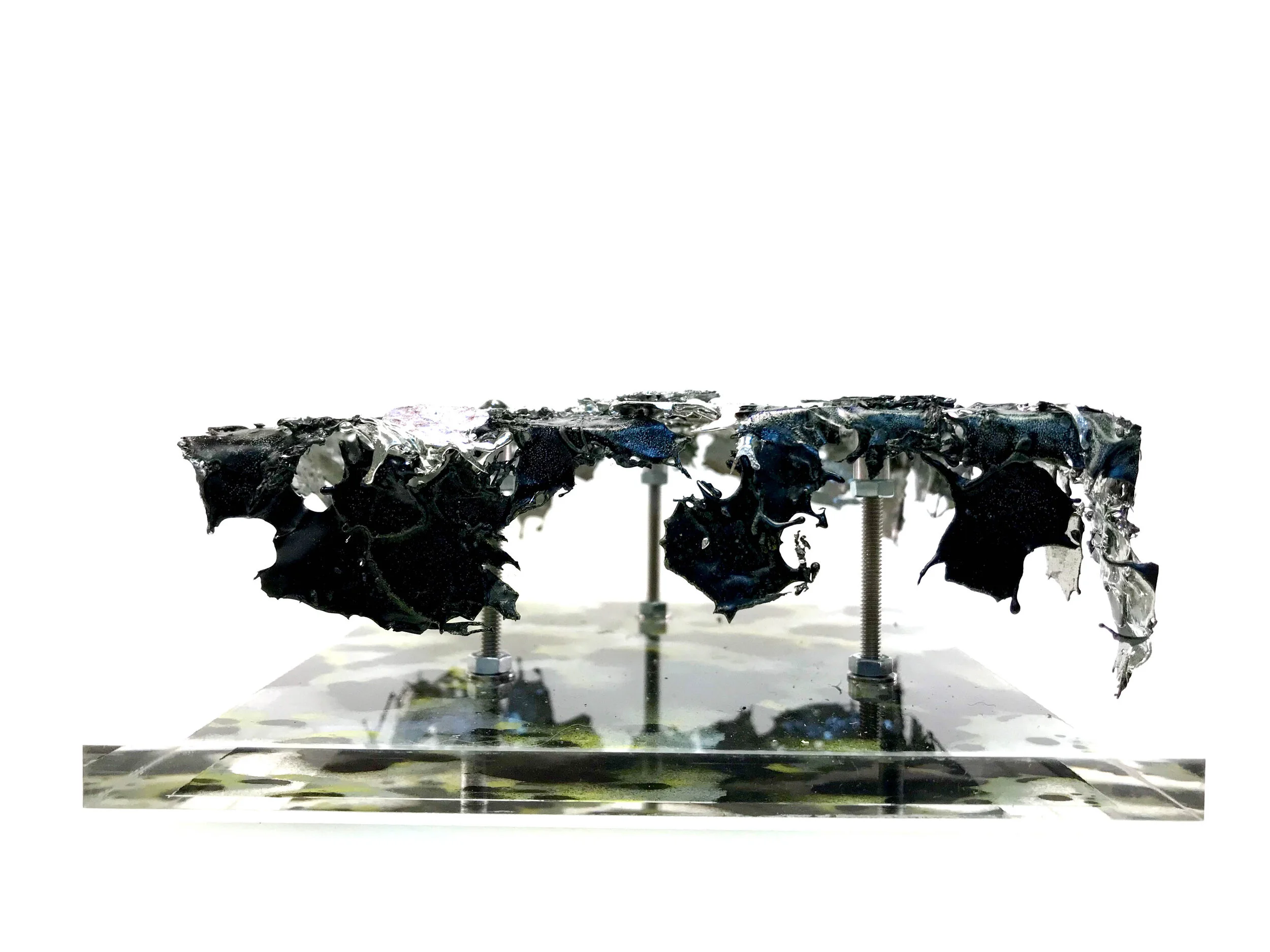 screen I-d profile.JPG