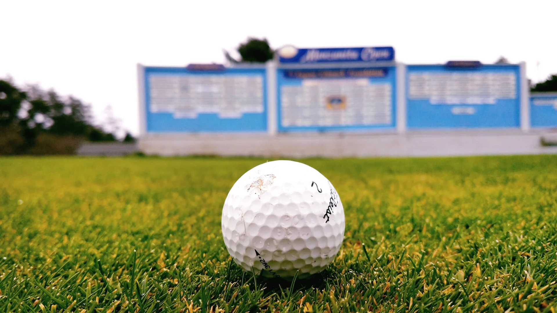 Thank you for a great Manzanita Open 2019 Results are In!