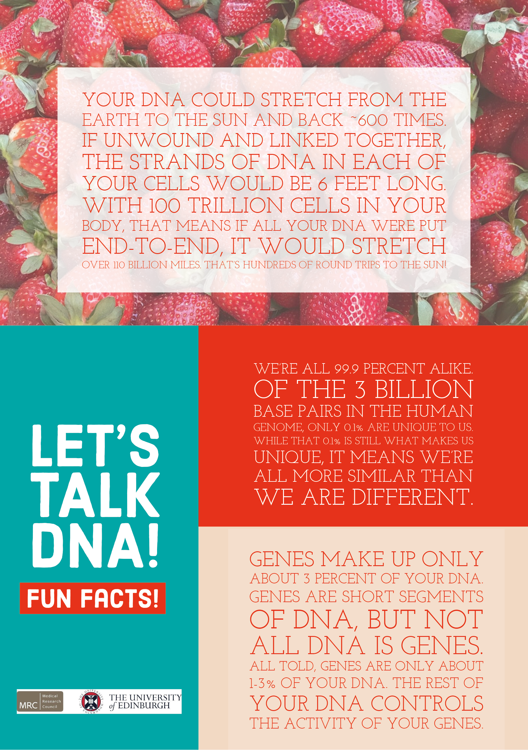 DNA pamphlet front.png
