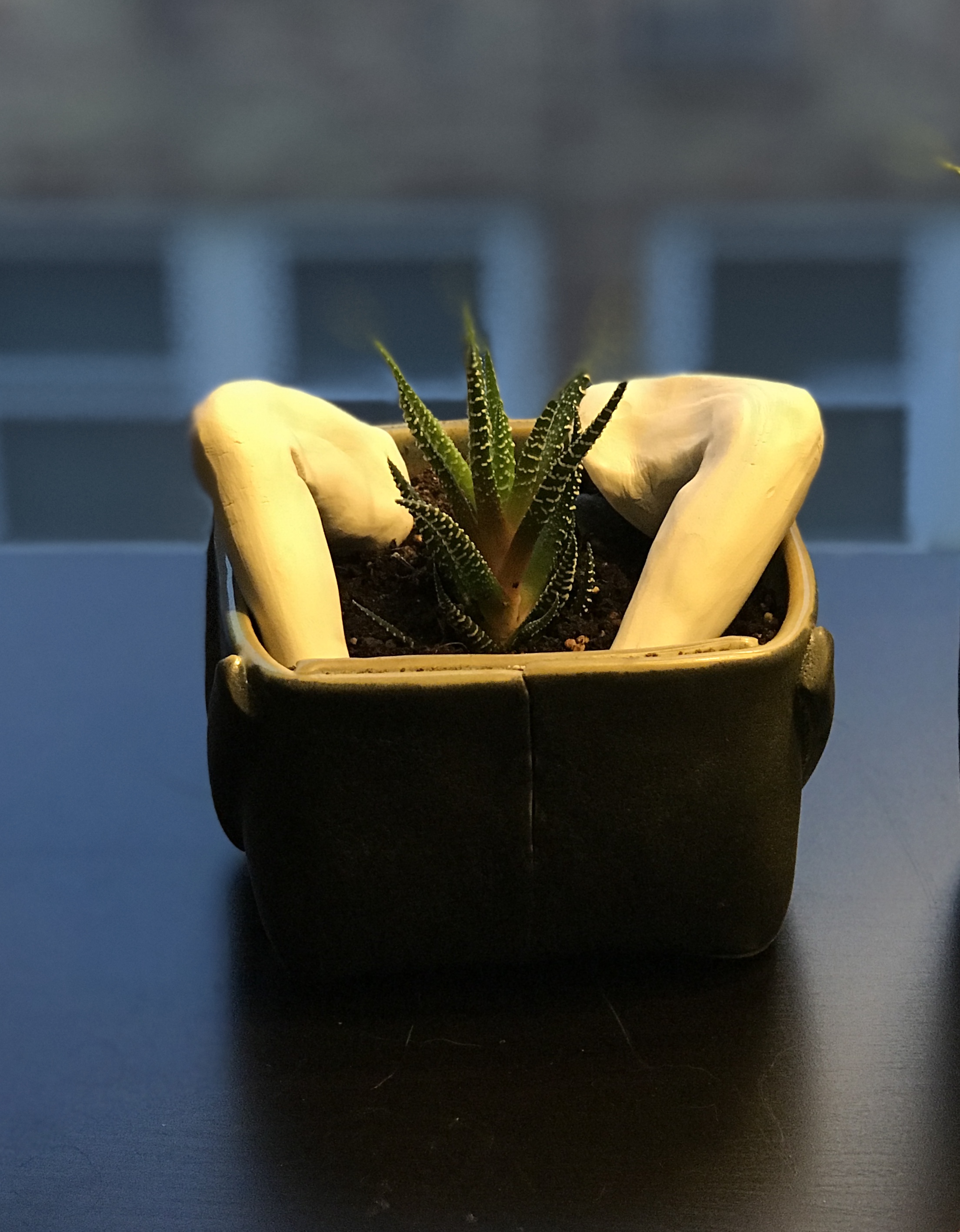 I’ve been tending a garden