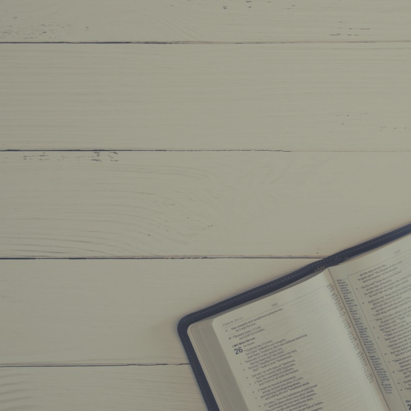 Why We Love Effectual Calling and Regeneration