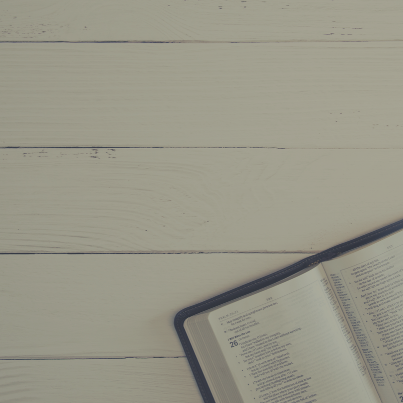 Why We Love Conversion