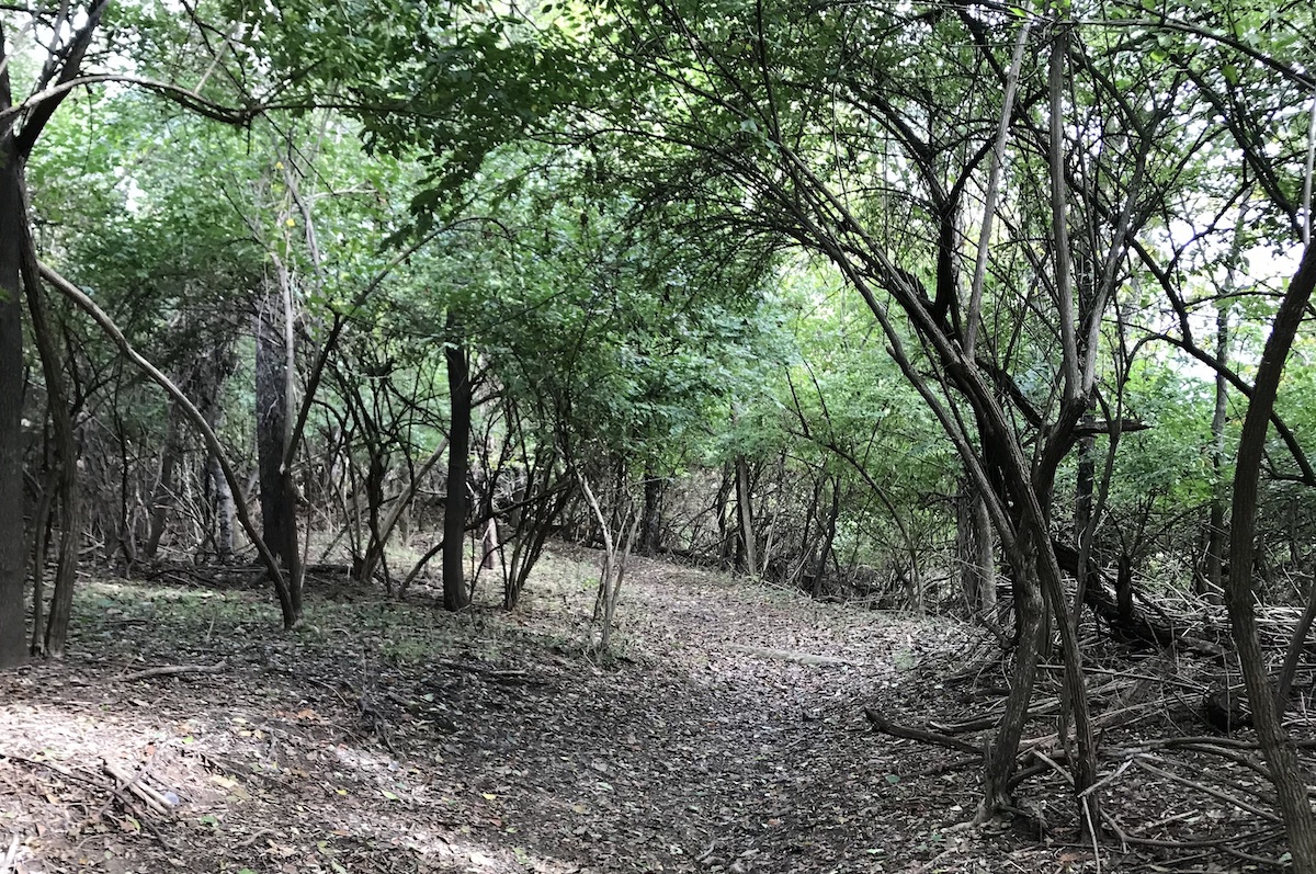 Hazelwood Greenway. Image: Becca Halter