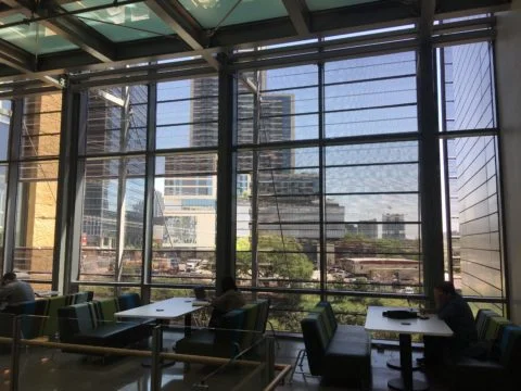 Natural Light, Filtered Light, Light and Shadow. Photo Credit: Kathy Zarsky.