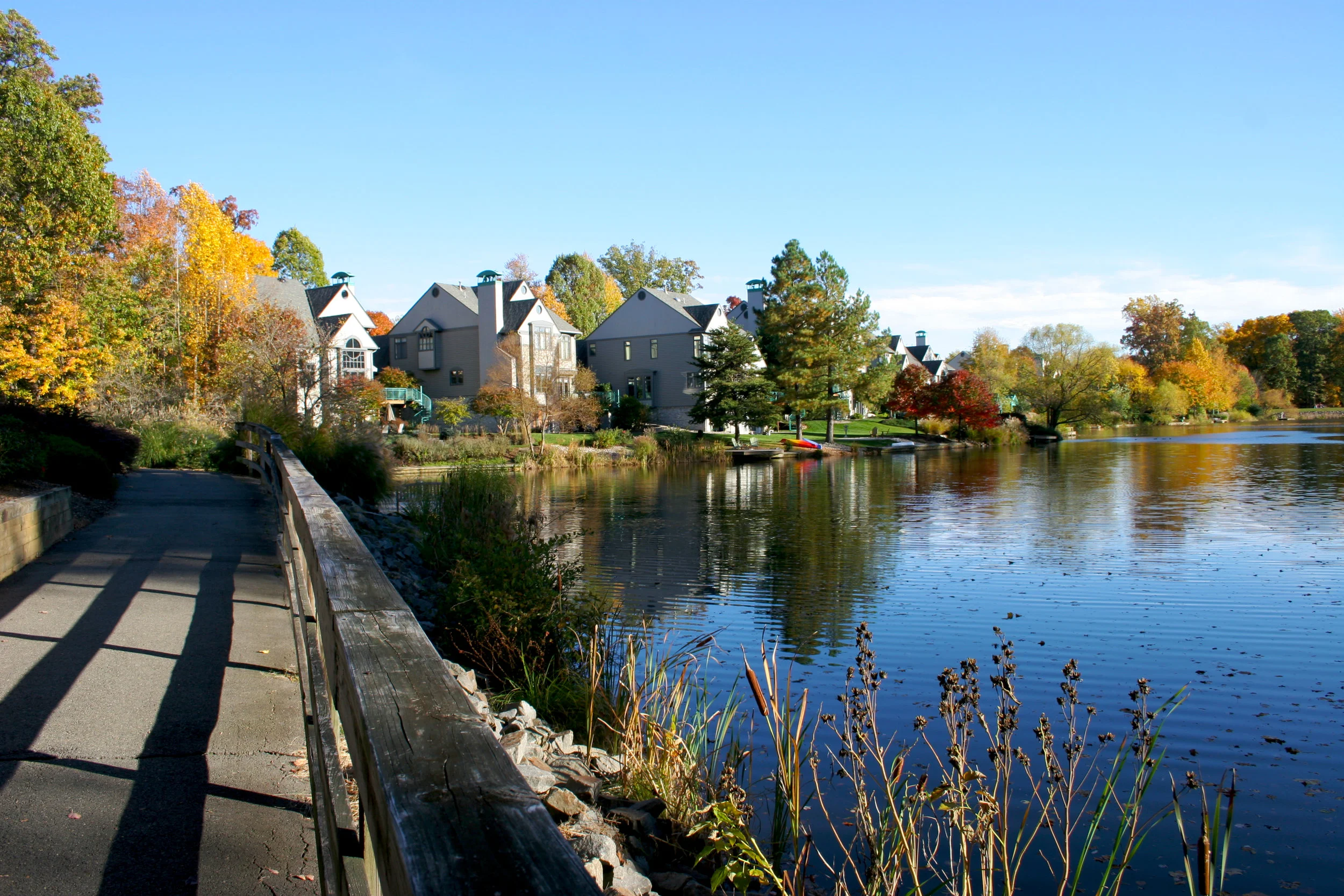 Butler Pond Reston Reston — Biophilic Cities