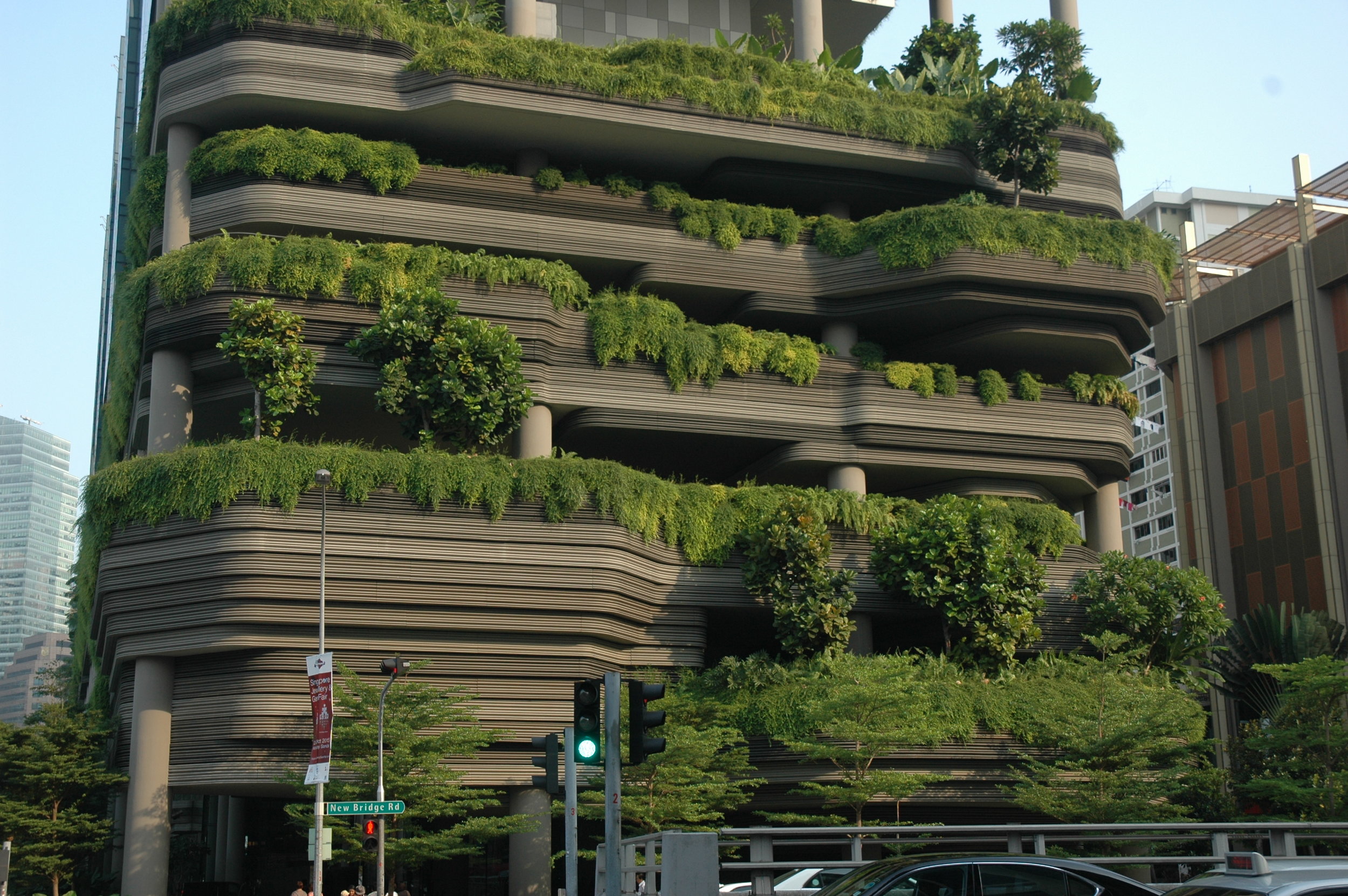 Singapore Biophilic Cities