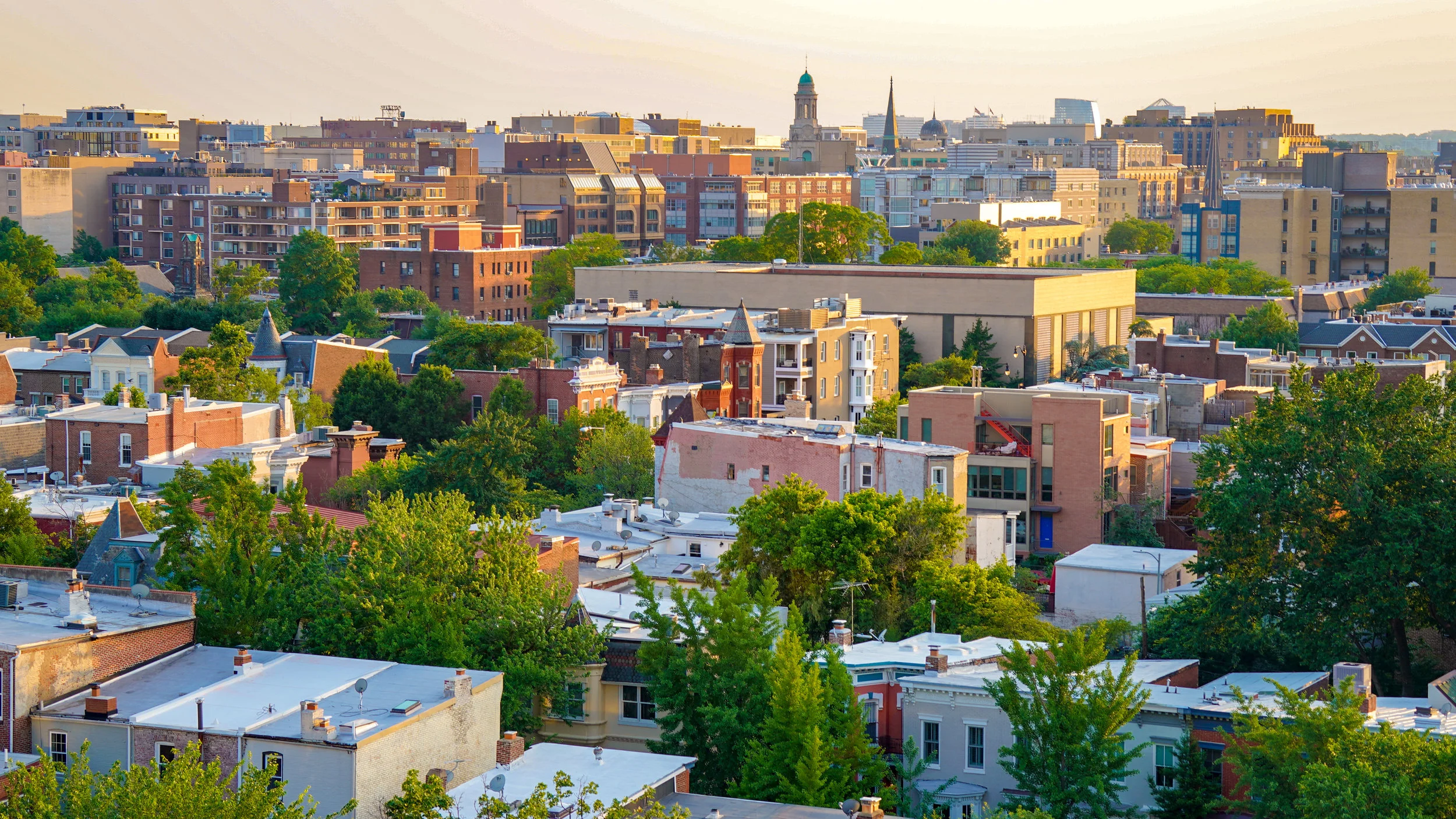 Washington DC — Biophilic Cities