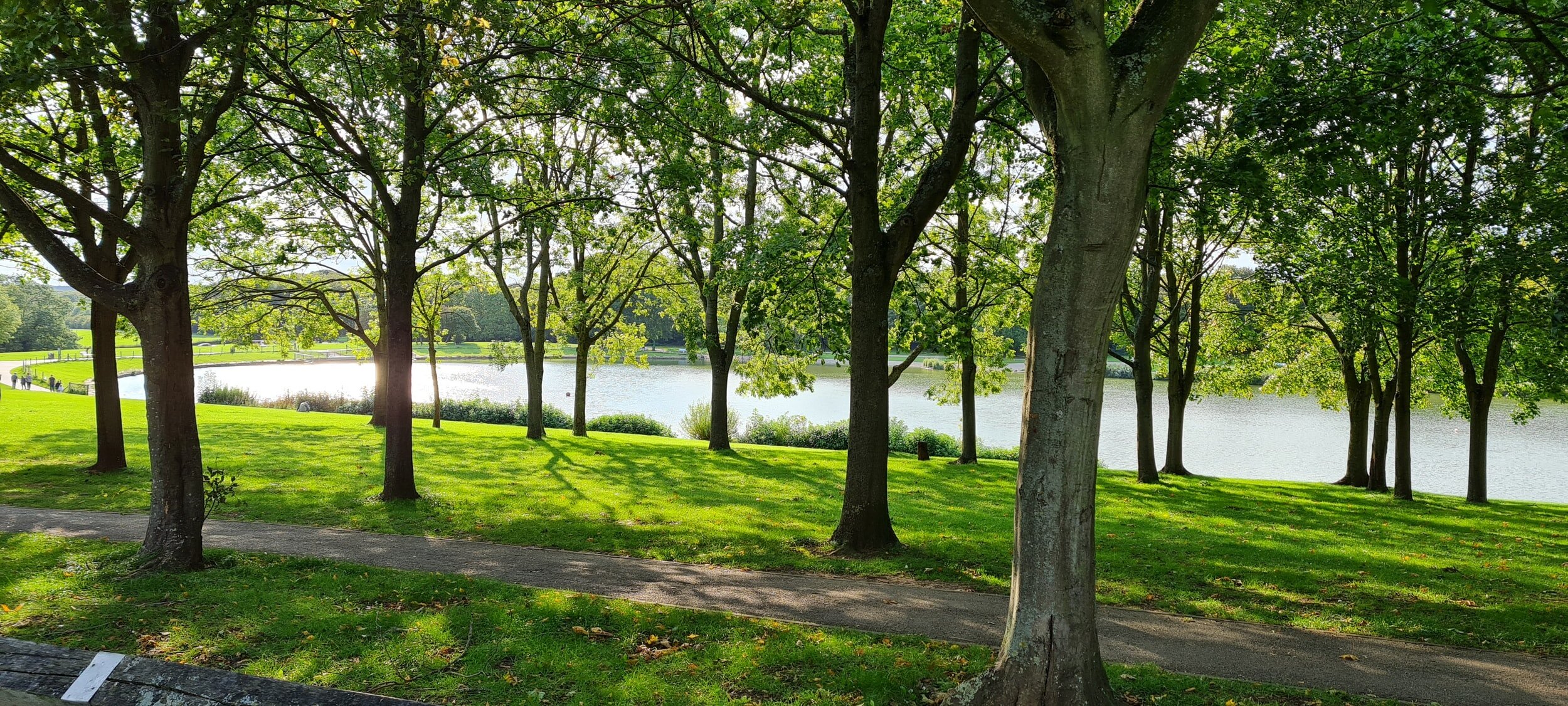 Sutton Park: Wild in the City — Biophilic Cities