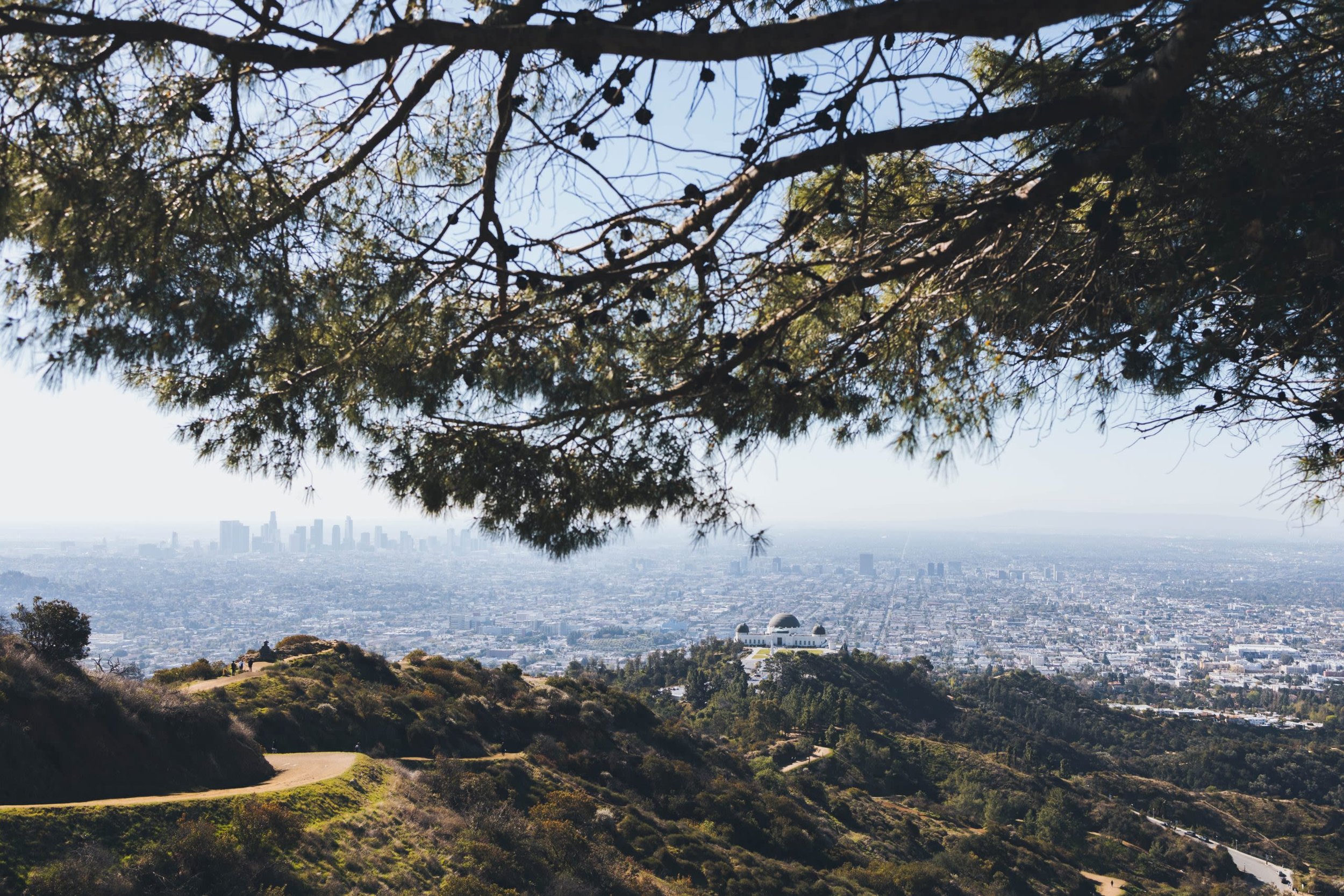 LOS ANGELES (Copy)