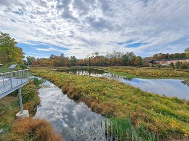 Arlington Ballston Wetland Park