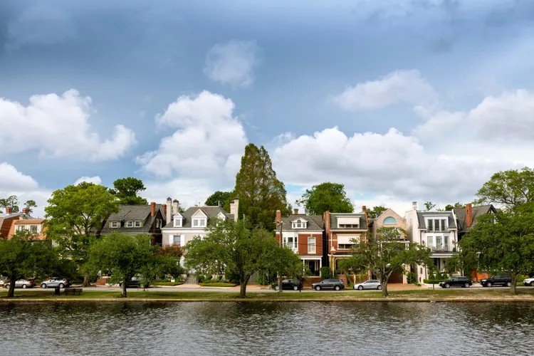 Norfolk Tree Canopy Plan