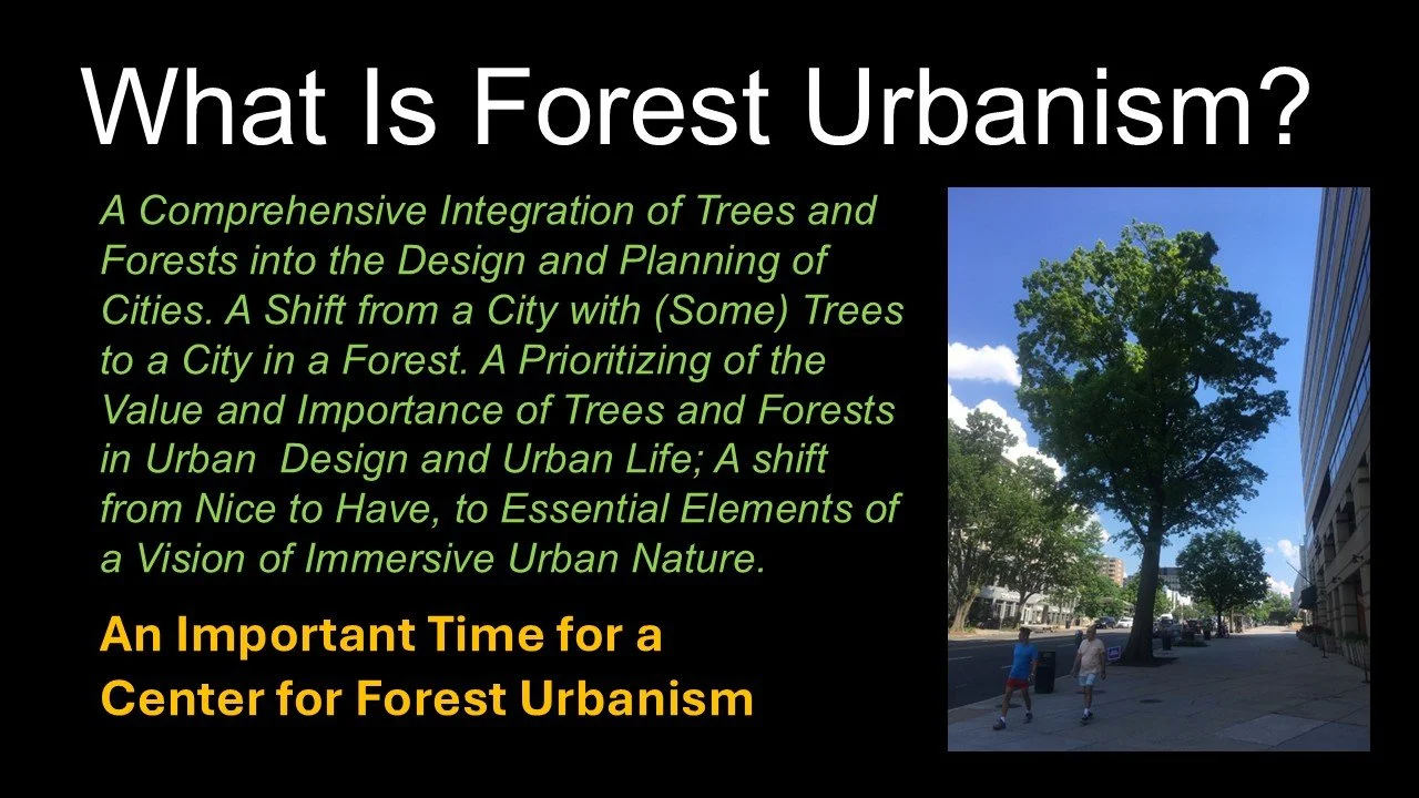 Tim Beatley | What is forest urbanism?