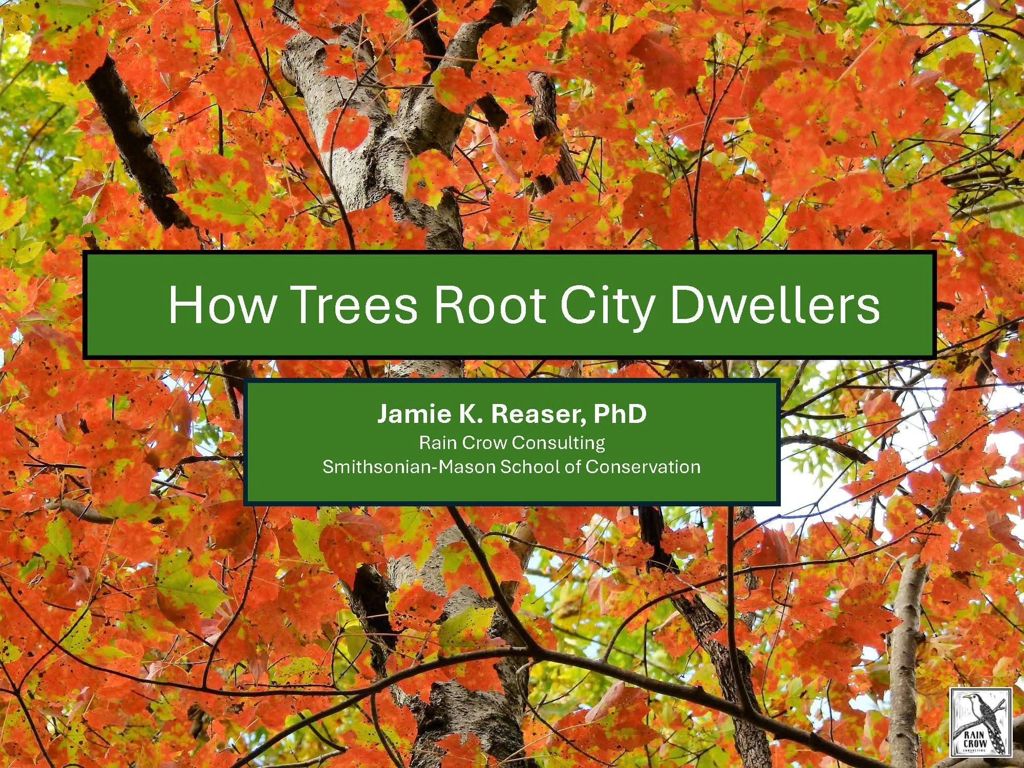 Jamie K. Reaser | How Trees Root City Dwellers