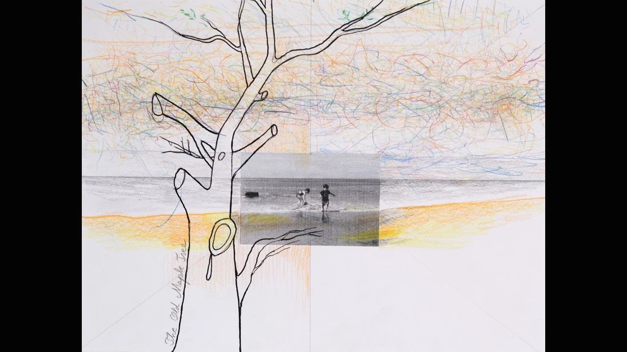 Sanda Ilescu | The Day the Old Maple Tree Came Down