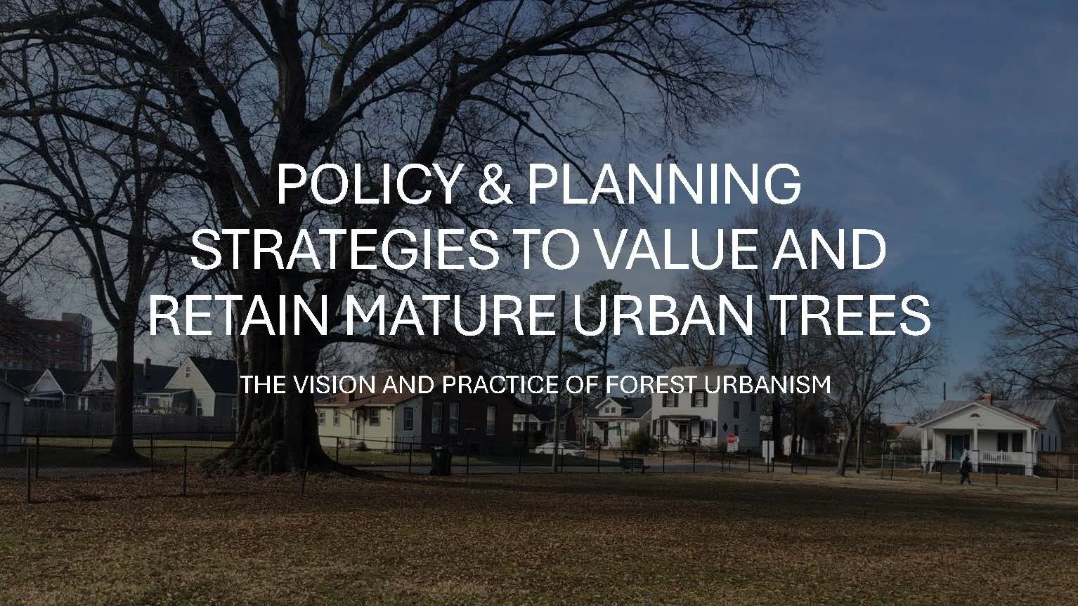 Ann Jurczyk | Virginia Code Provisions for Preserving Mature Trees