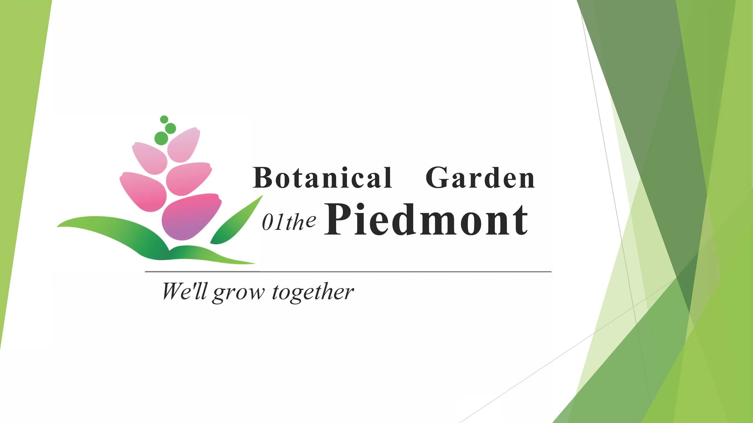 Jill Trischman-Marks | Botanical Garden of the Piedmont