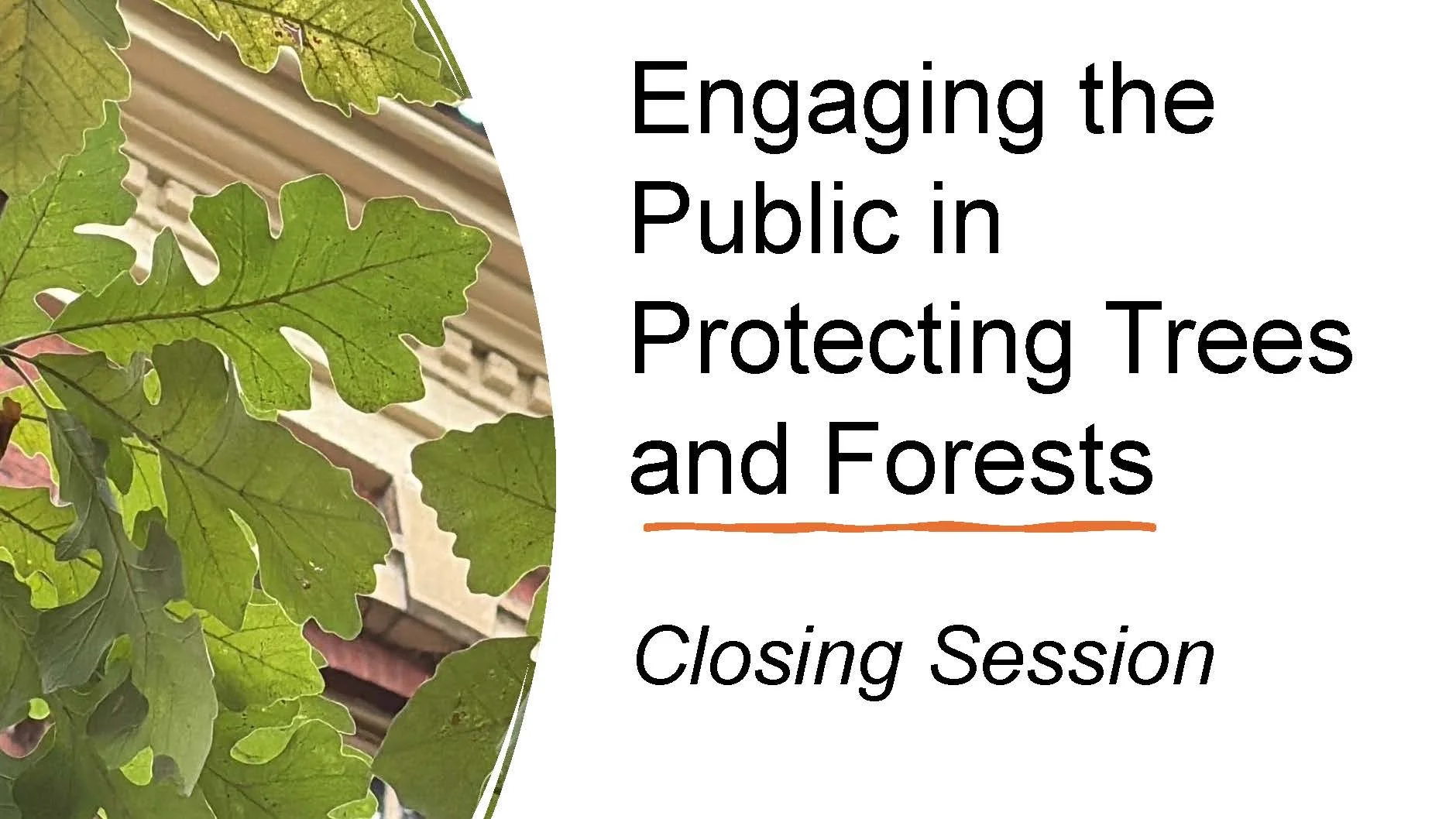 Tim Beatley | Engaging the Public in Protecting Trees + Forests