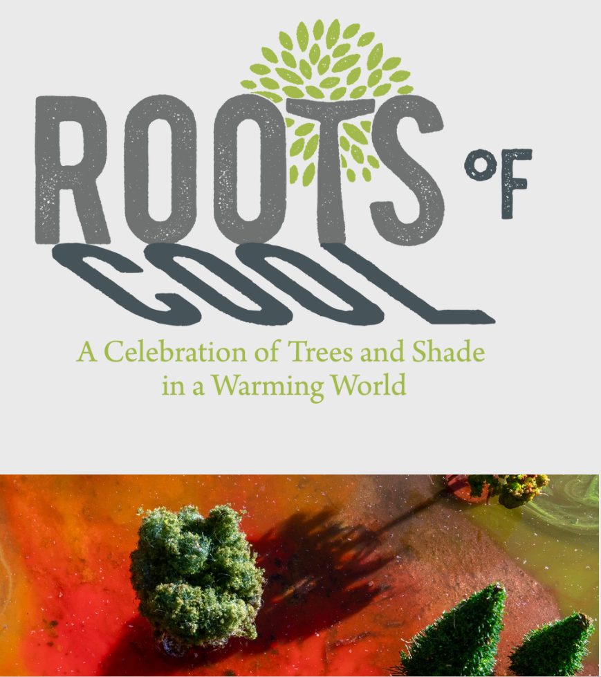 Roots of Cool. The Nature of Cities.