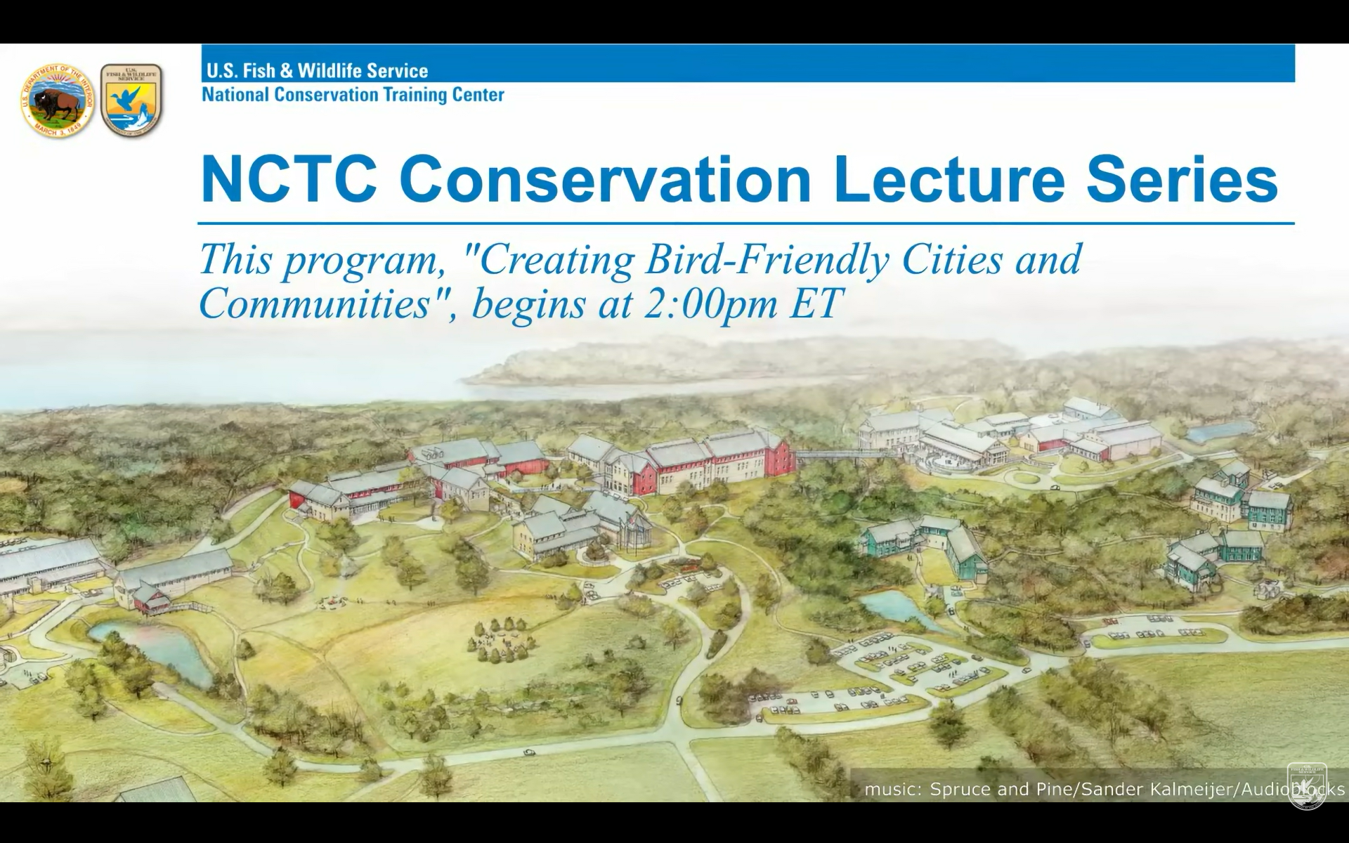 Creating Bird-Friendly Cities + Communities