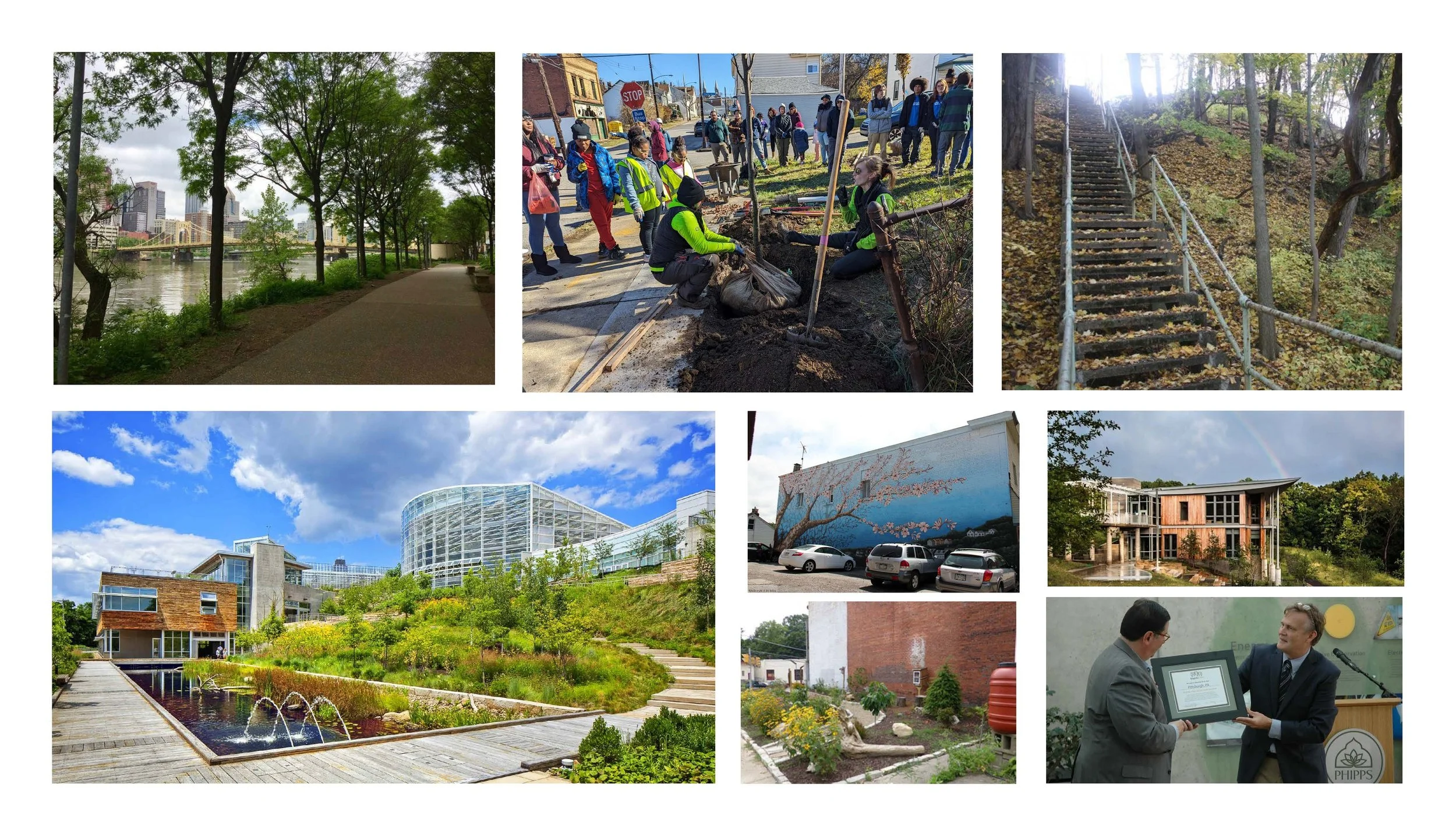 Decision-Making Framework for Funding Biophilia | Stakeholder Workshop