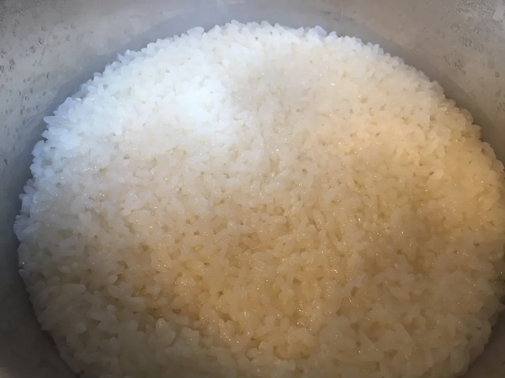 Sticky Rice with Chinese Sausage — Phase Changes