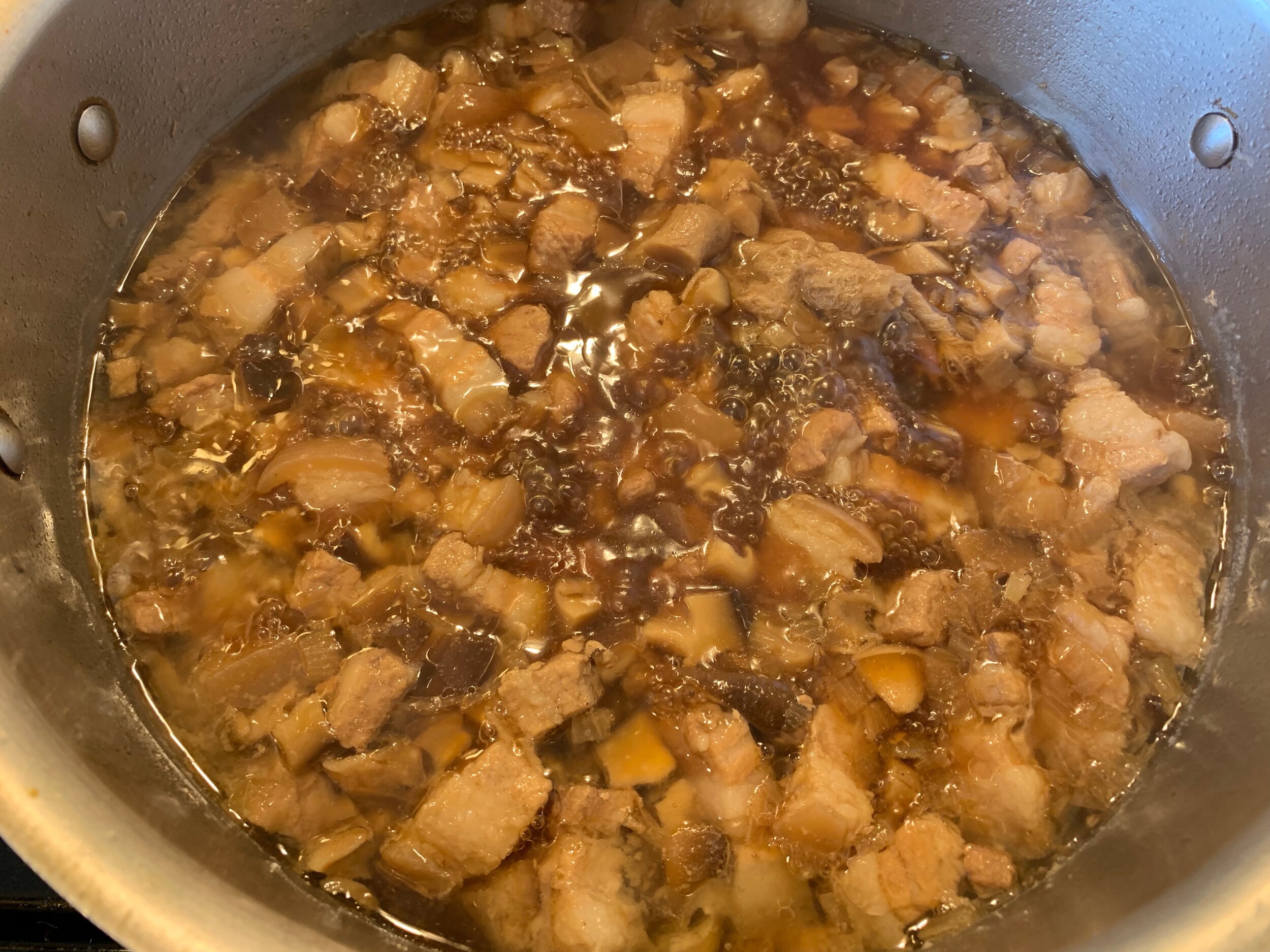 Taiwanese Braised Pork — Phase Changes
