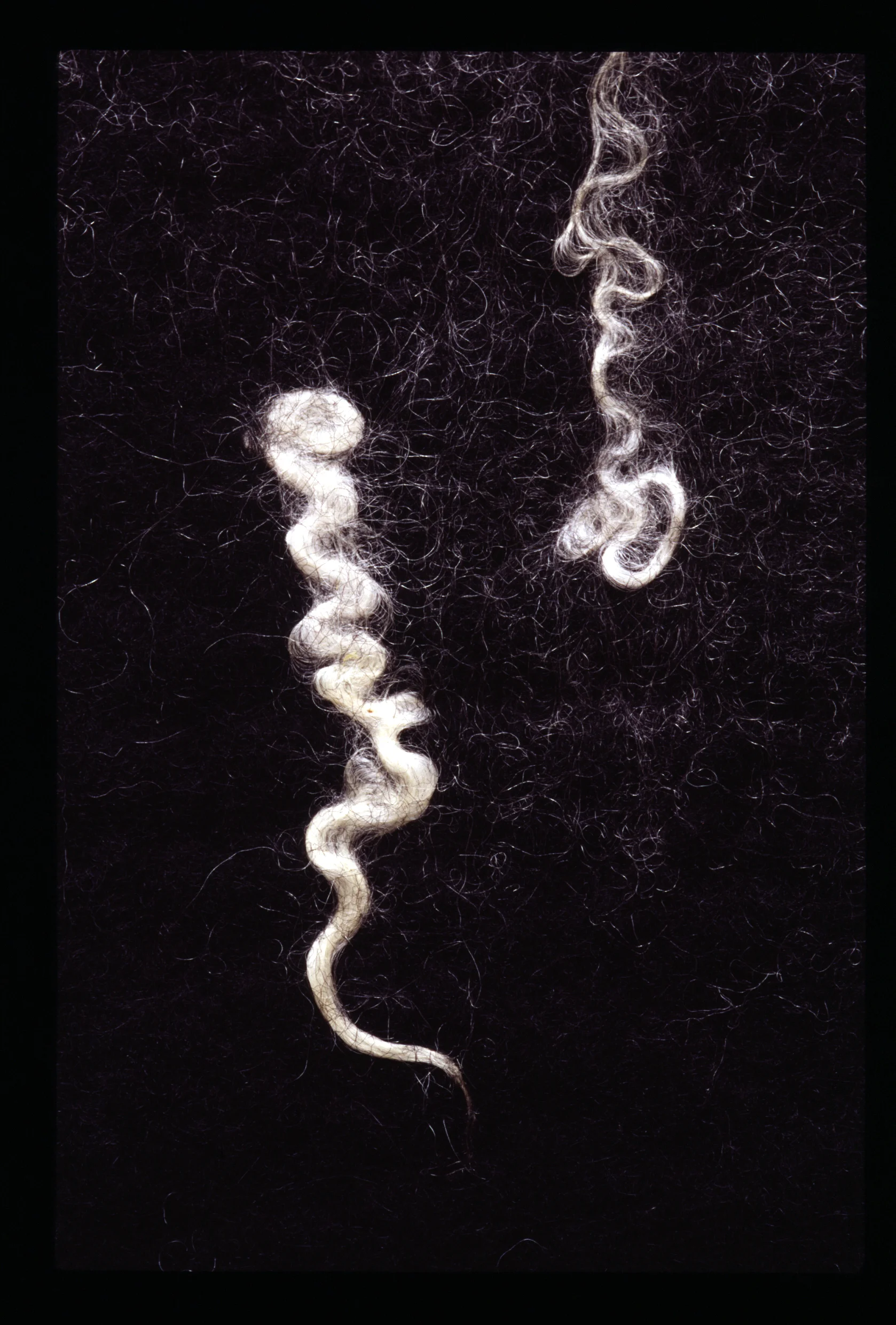 Essense, Diptych