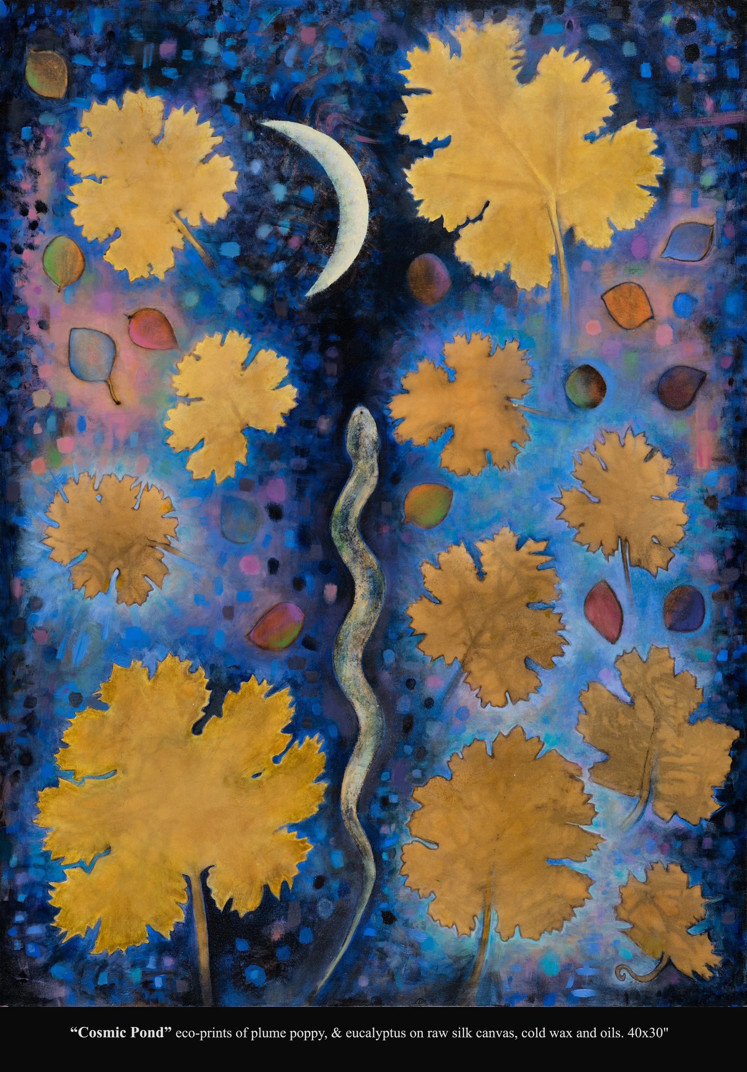 Cosmic-Pond.jpg