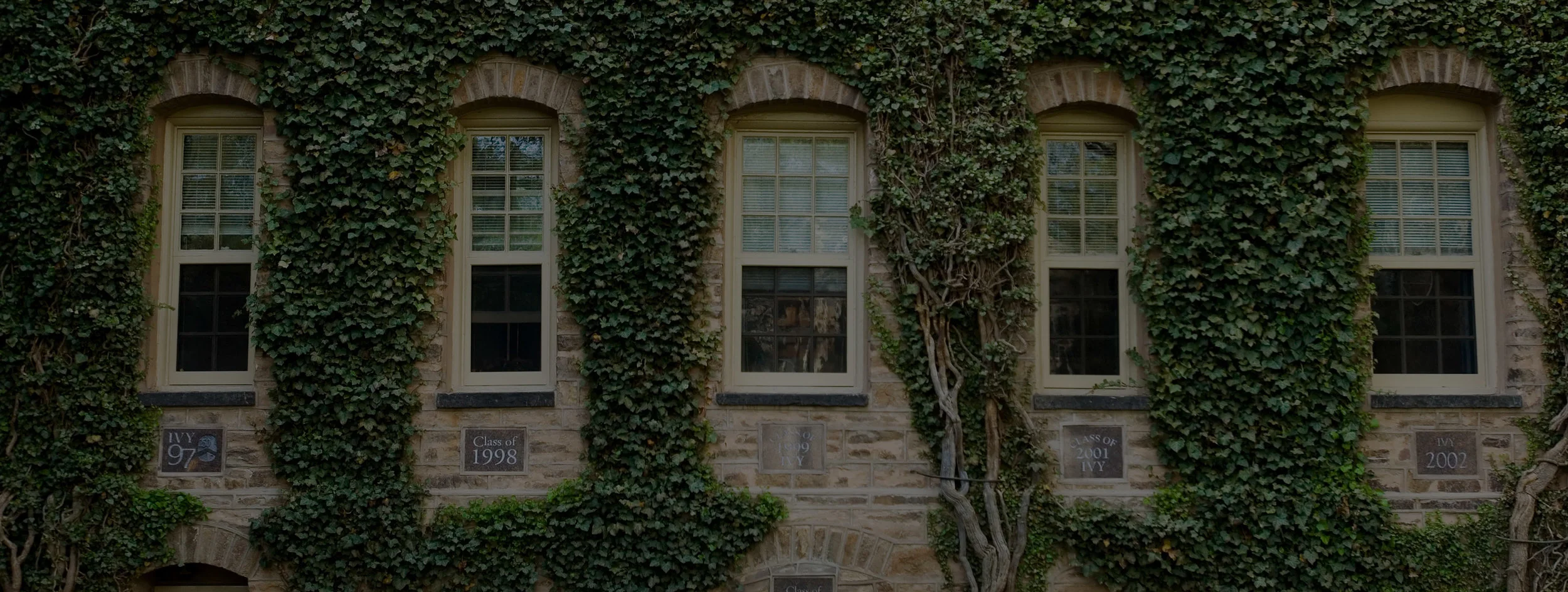 college-cropped2---Copy.jpg