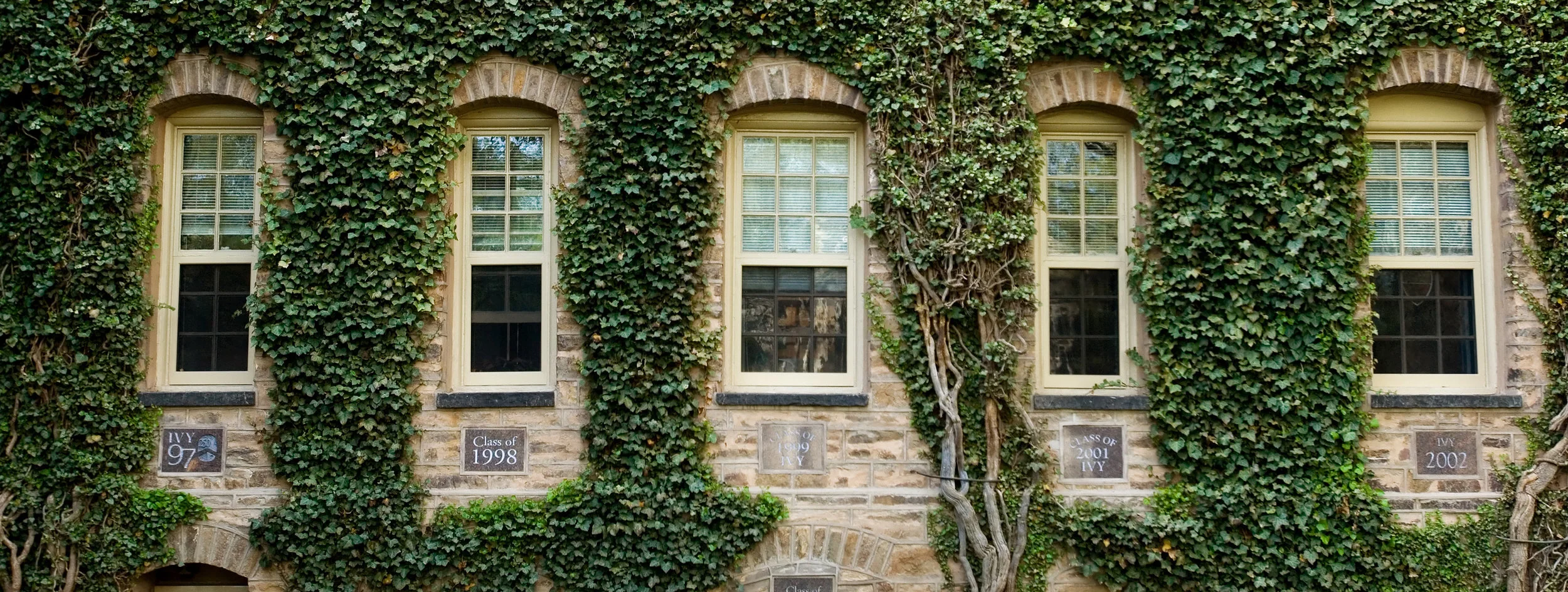 college-cropped2 - Copy.jpg