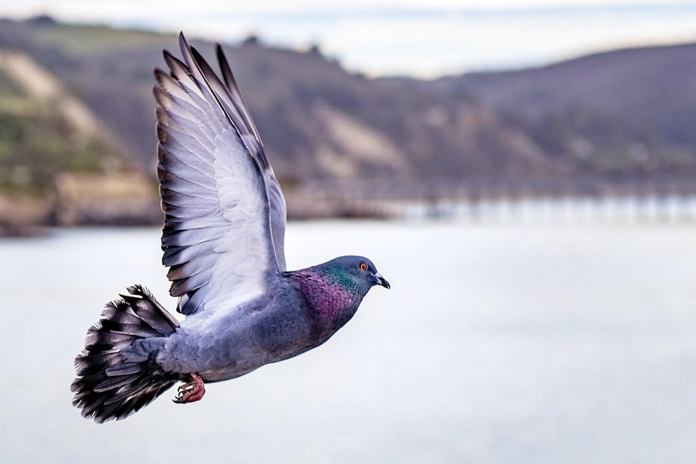 room+122+craft+beer+bar+beaverton